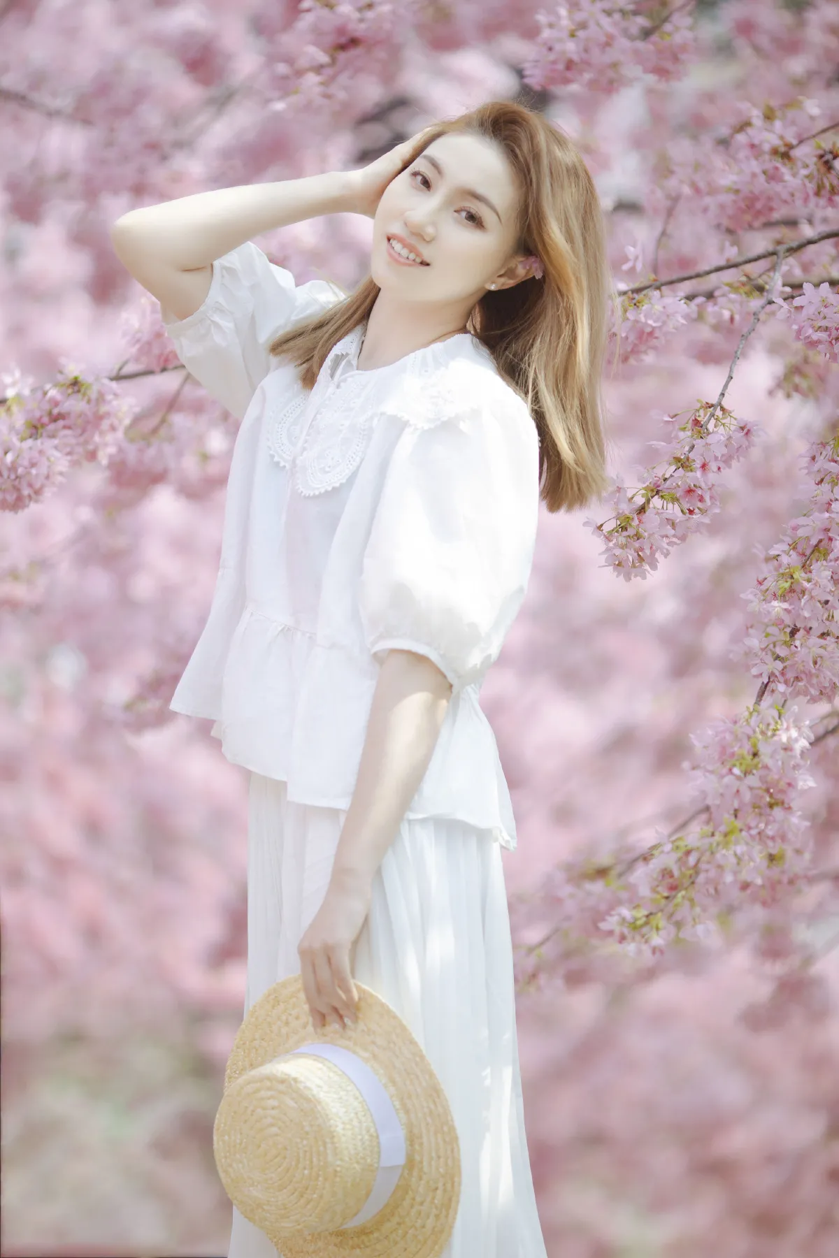 春日樱2