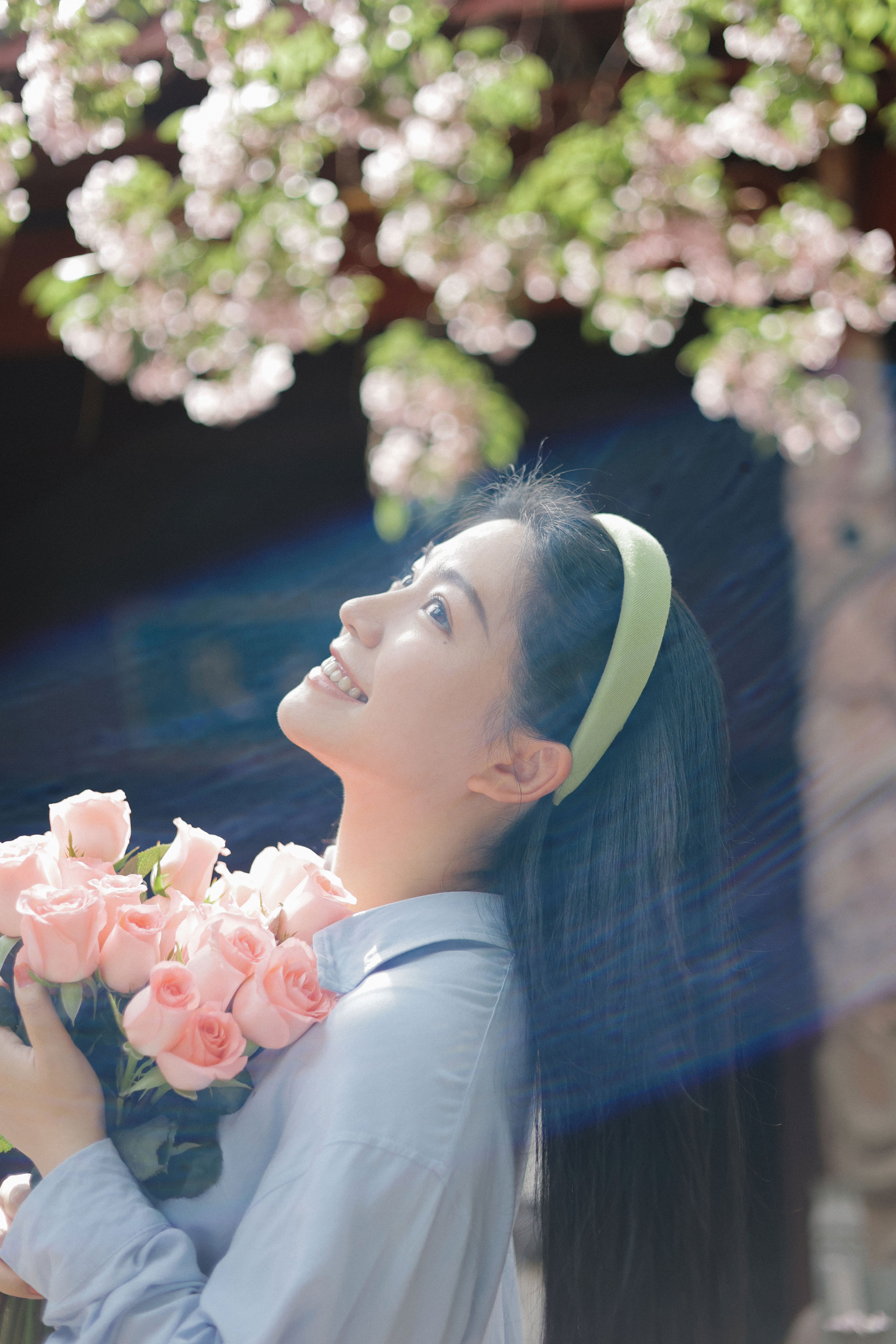 静默花开