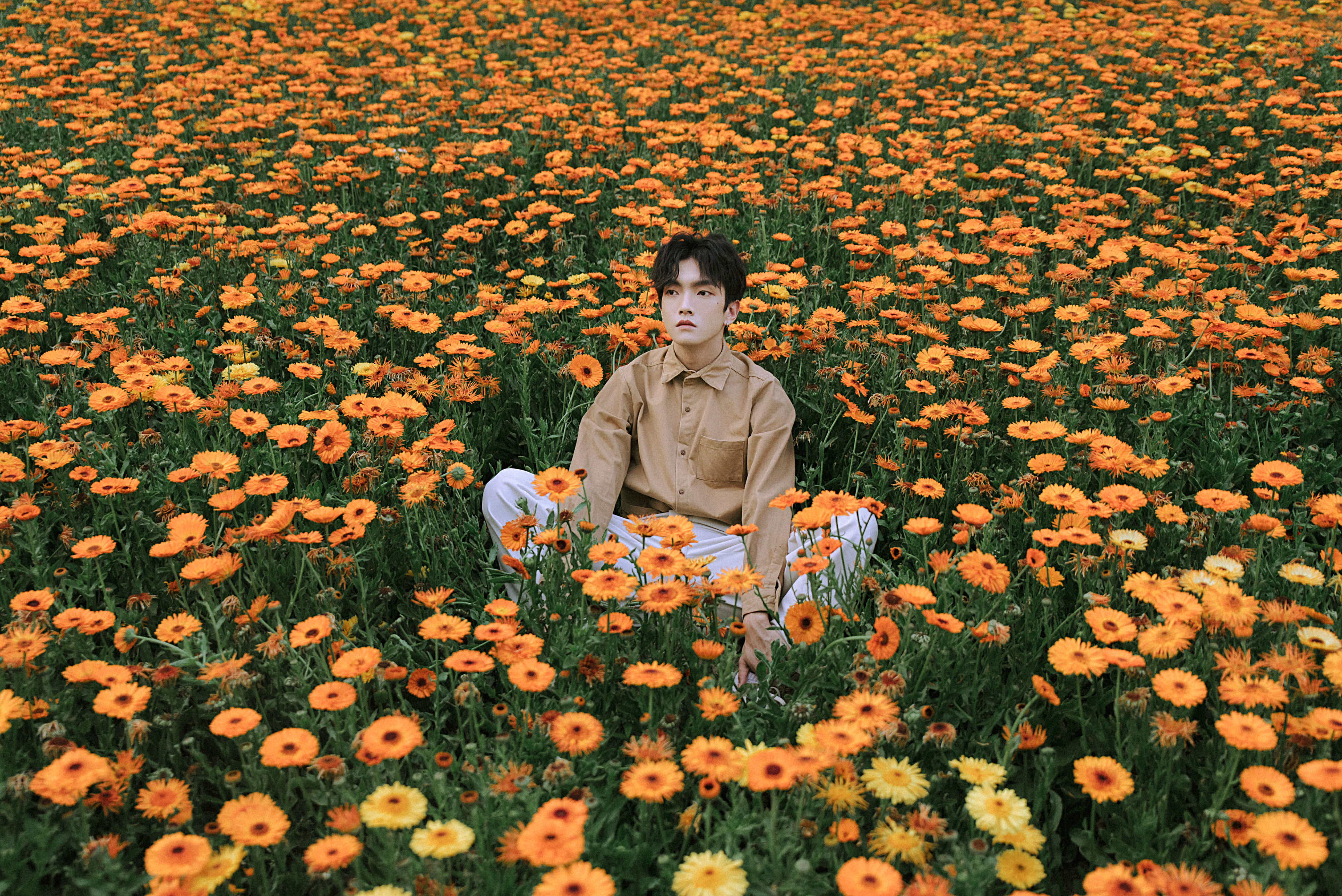 花海少年