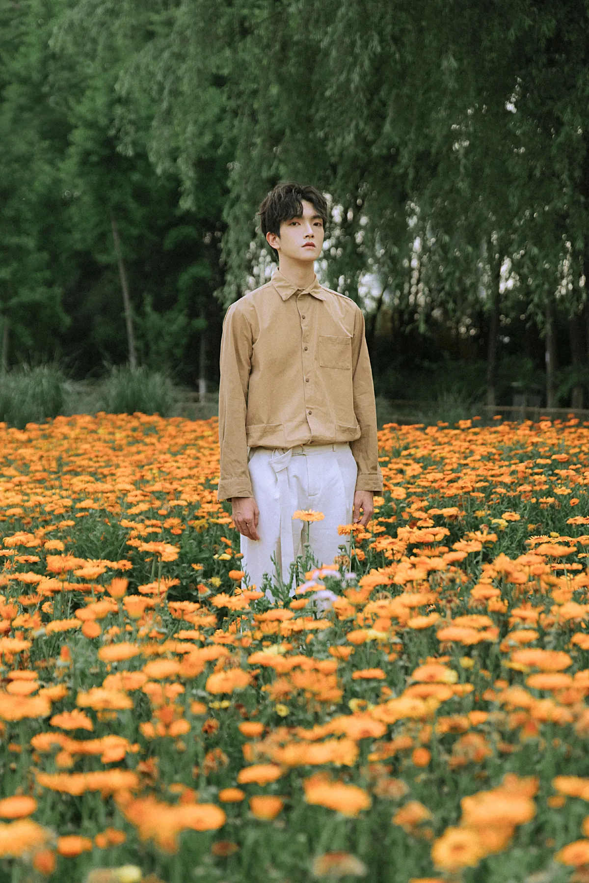 花海少年