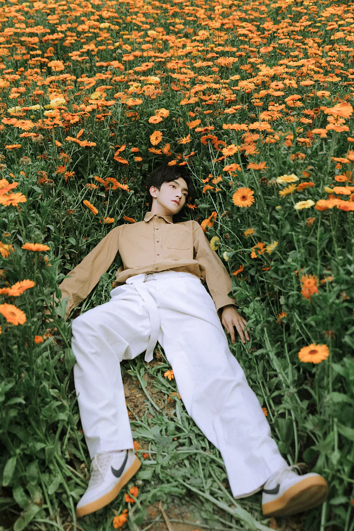 花海少年