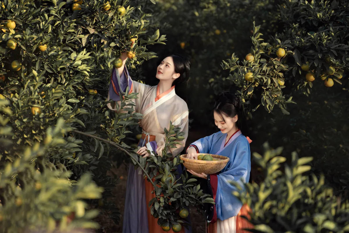 谢雨（摄影）_薯片yoyi《采橘》美图作品图片4