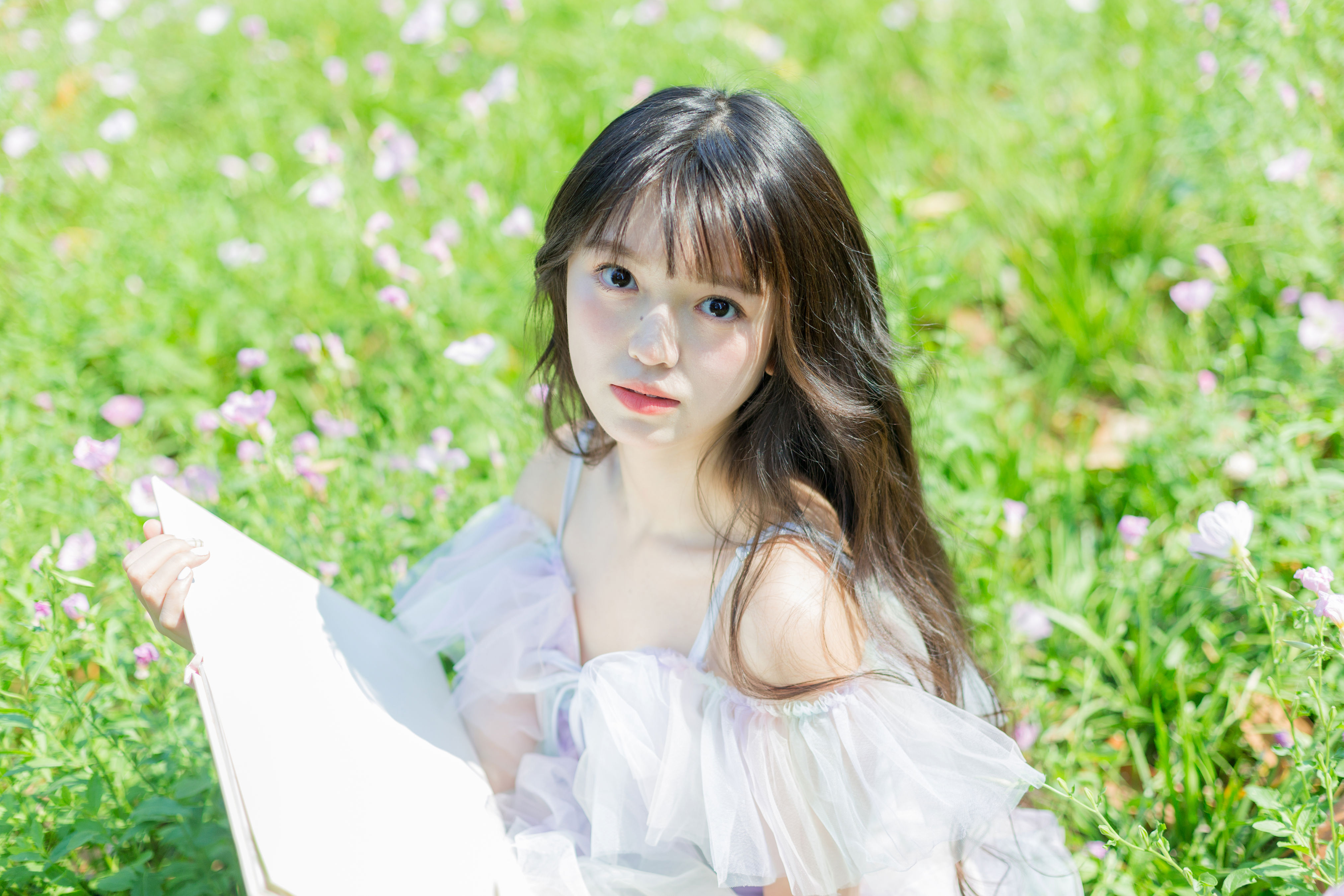 花海漫游