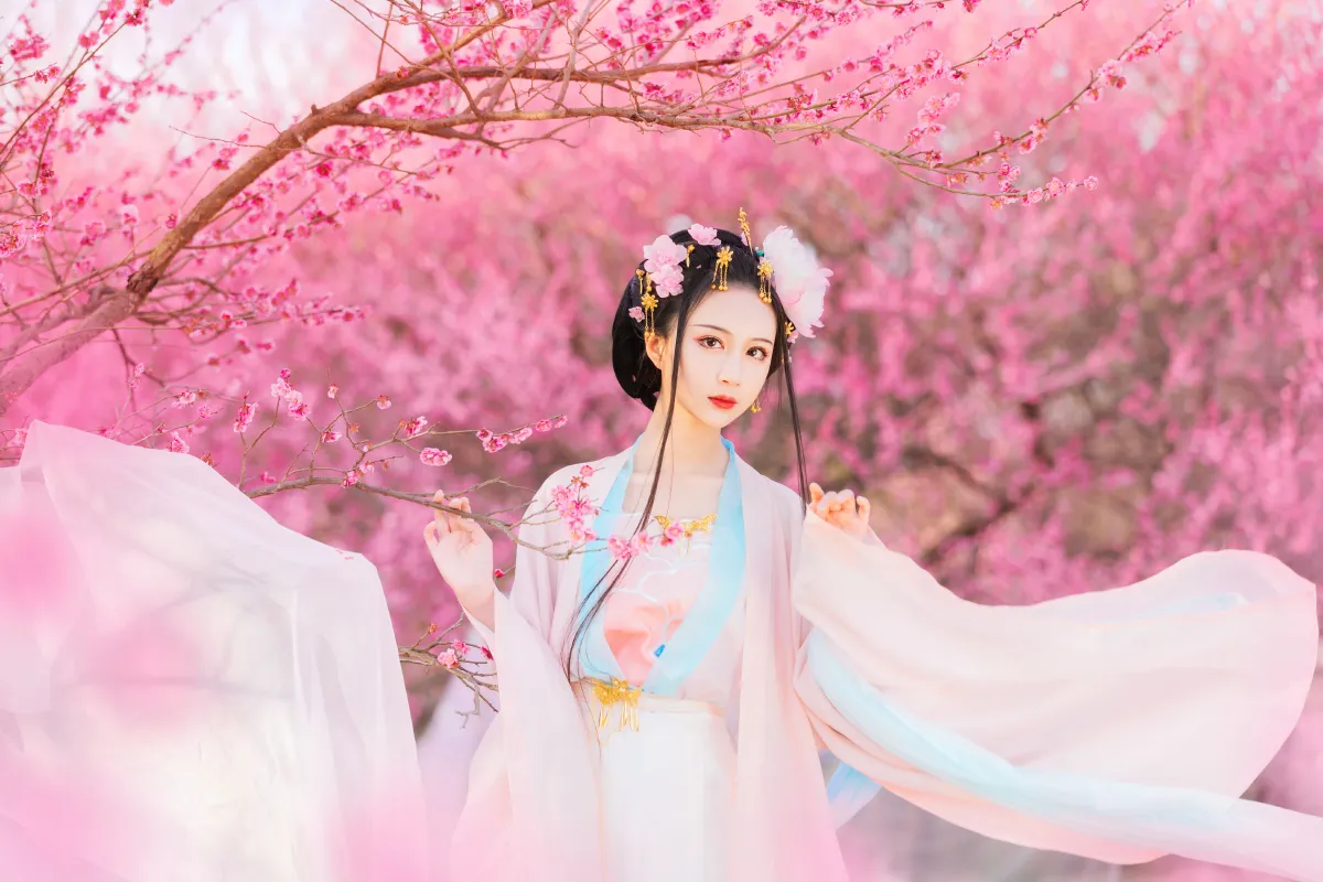 花间游2