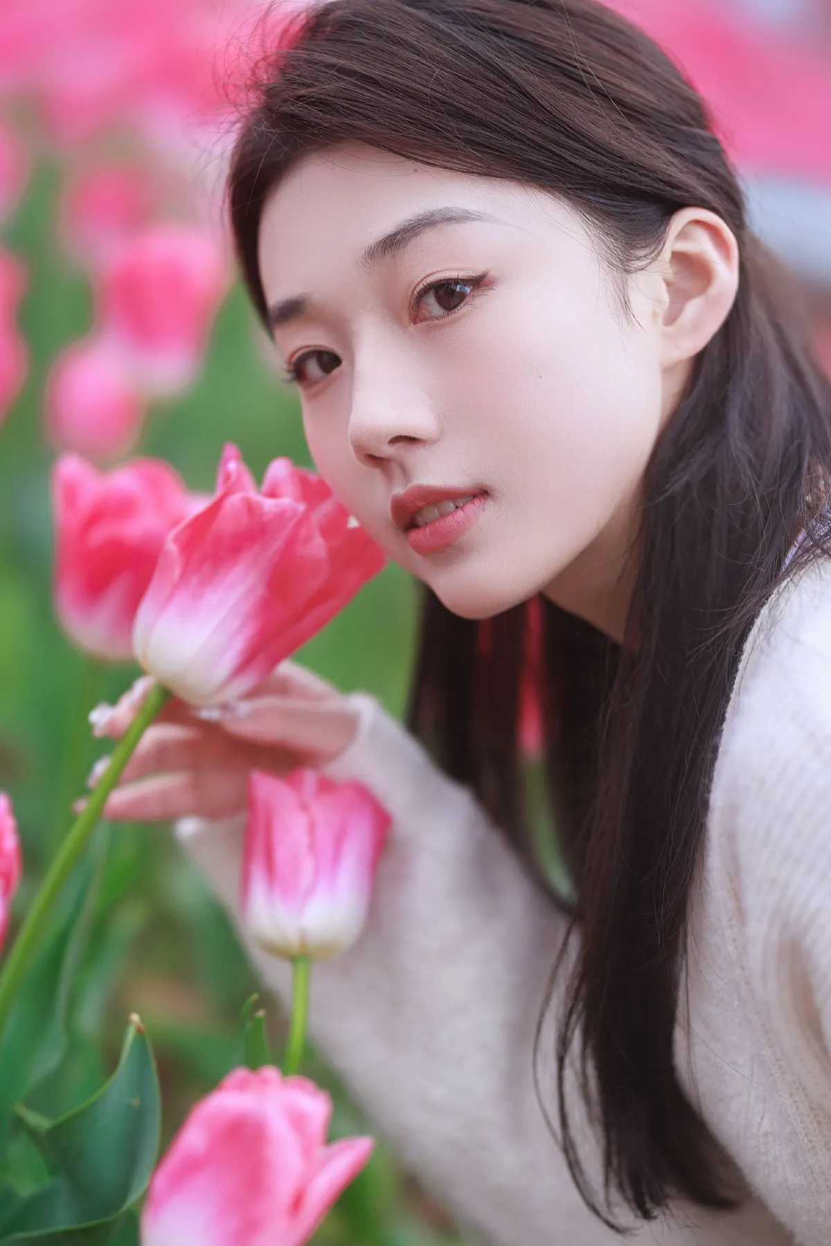 郁金香拍照2