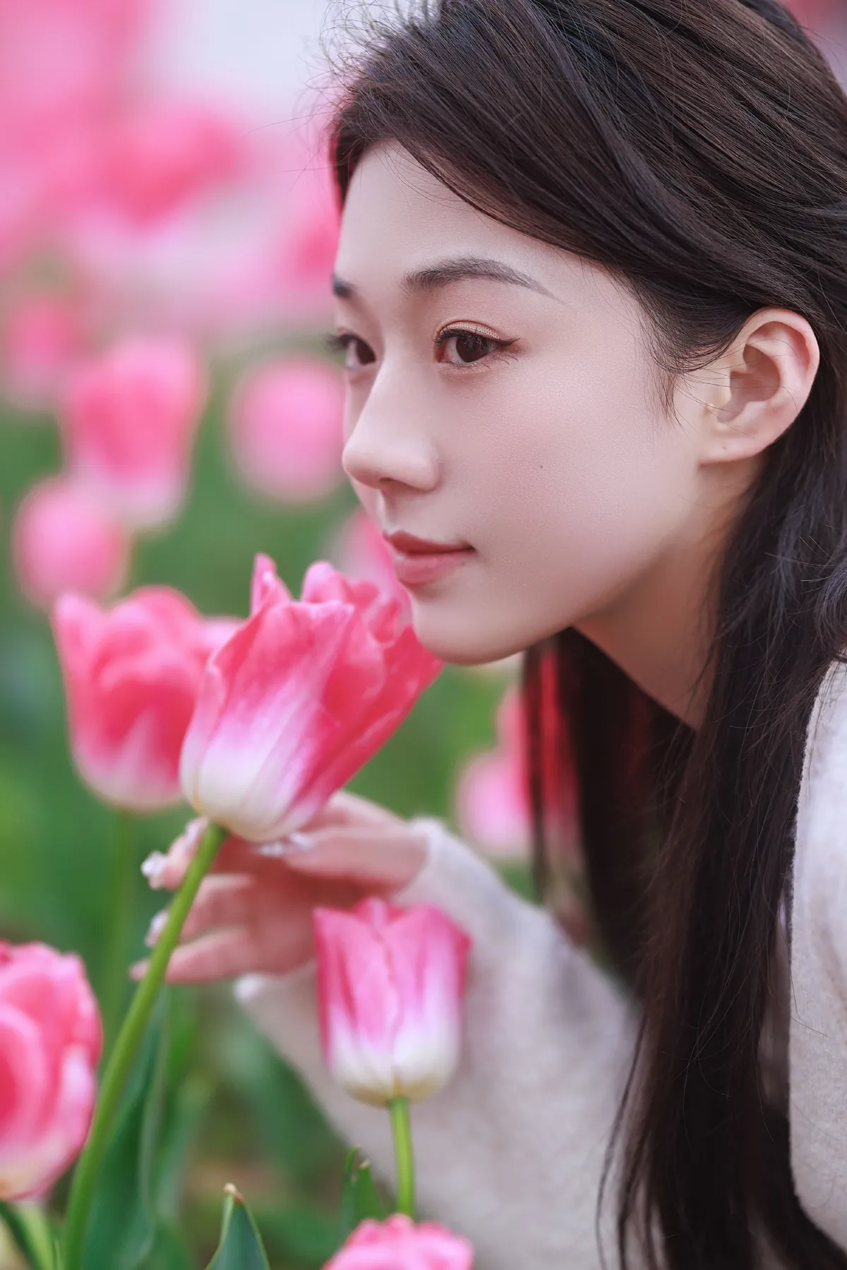 郁金香拍照3