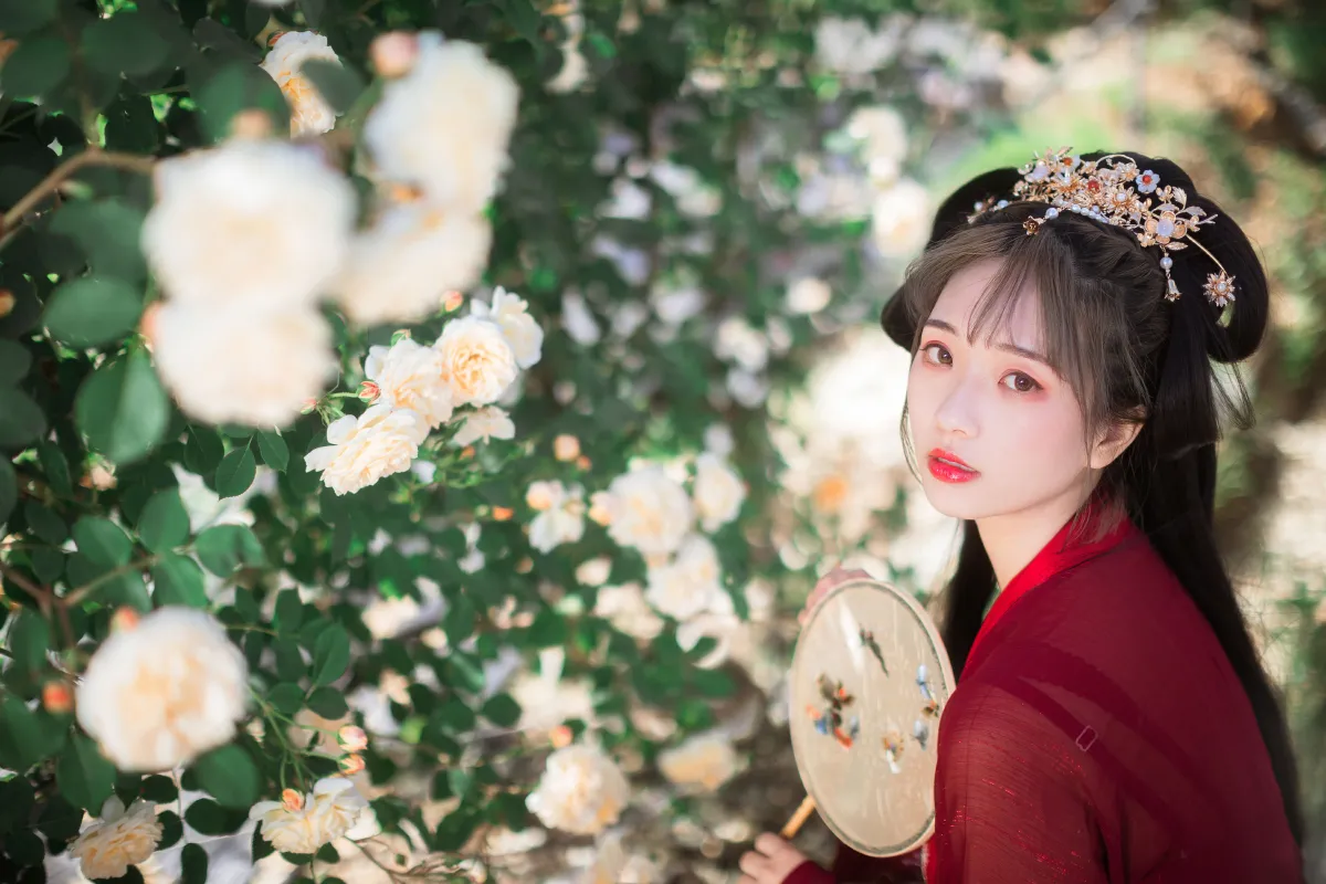 满堂花2