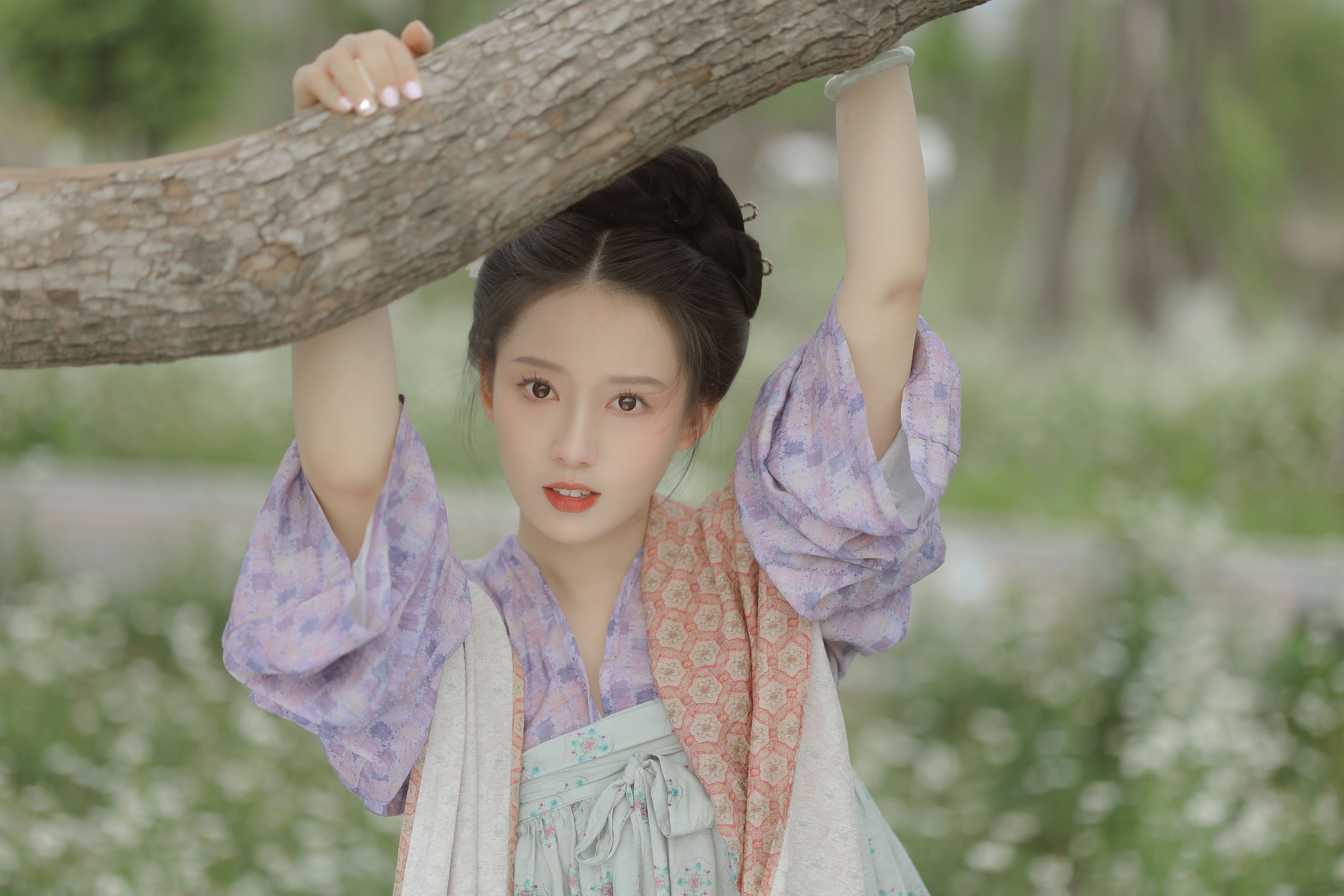 小雏菊