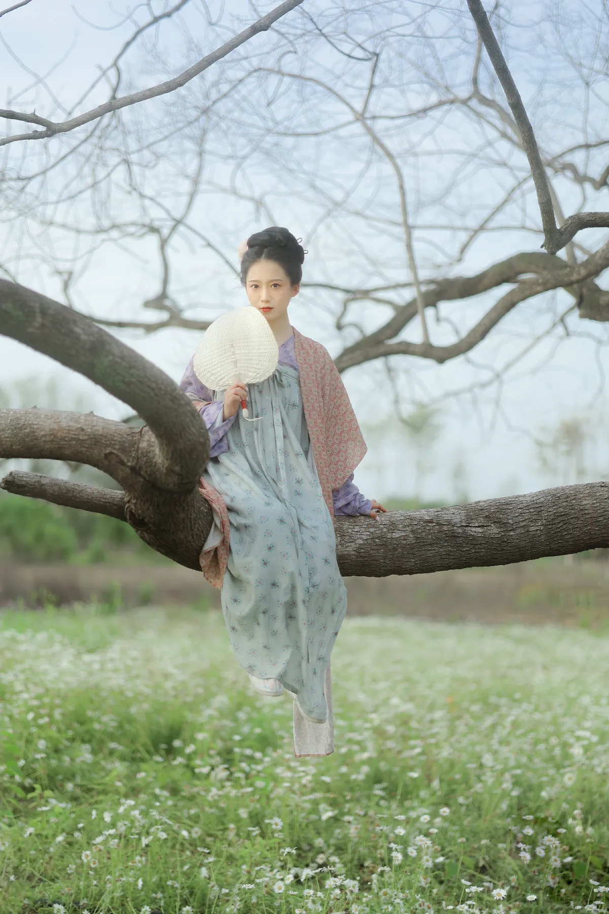 小雏菊