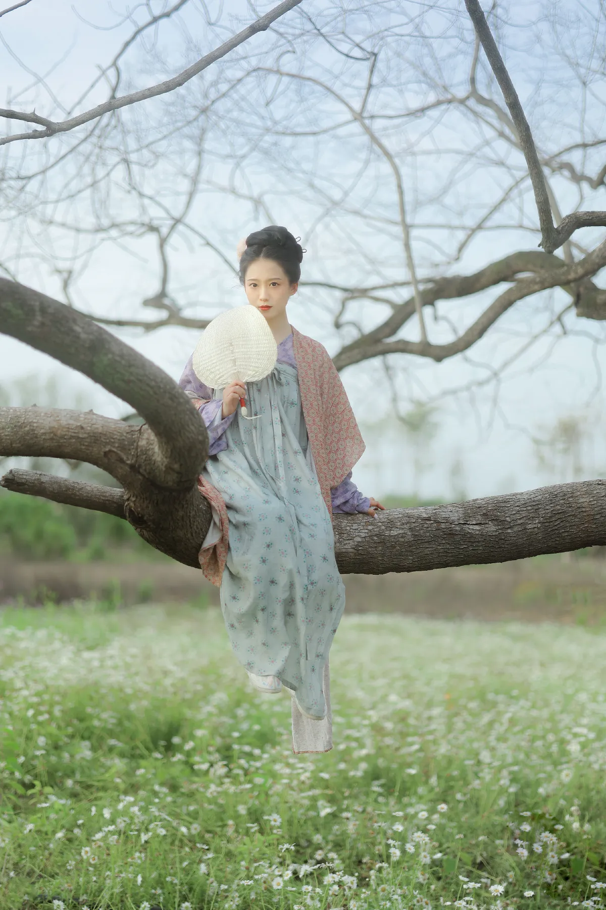 小雏菊2