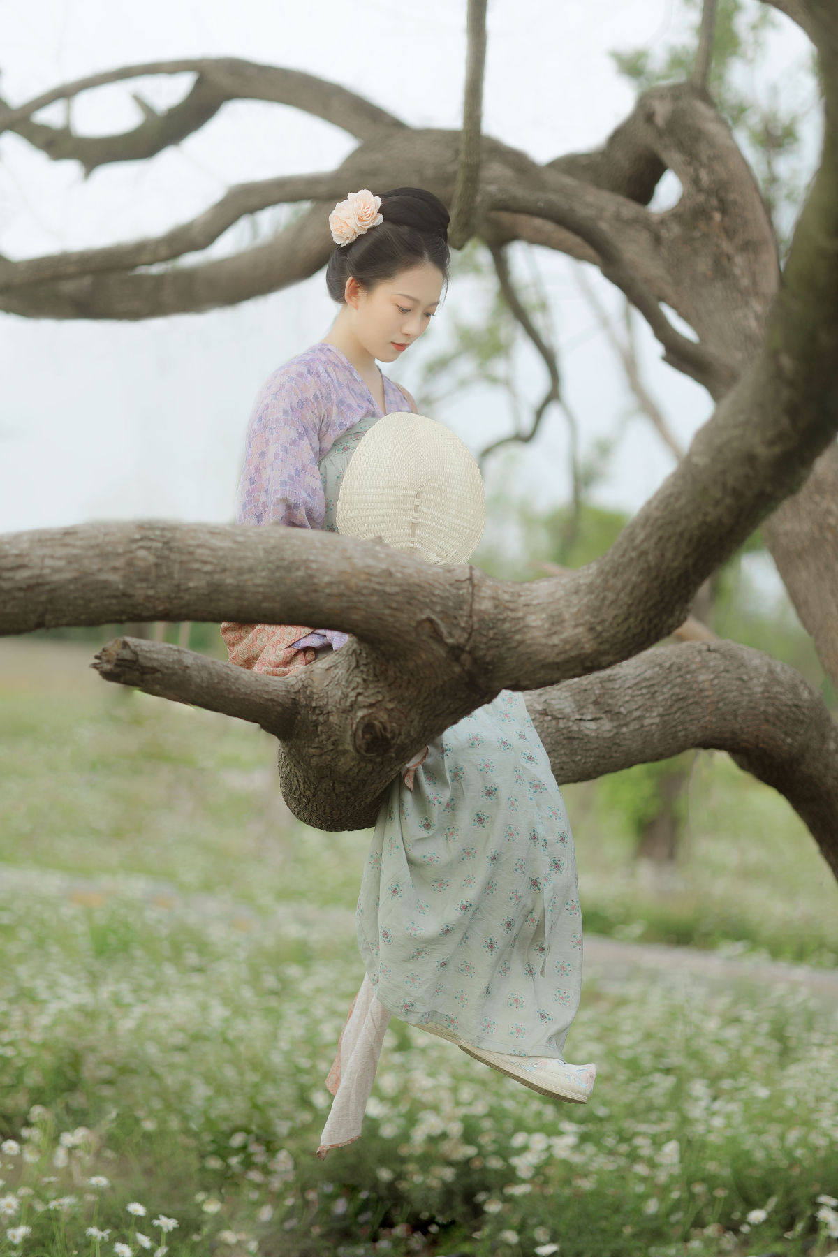 六月月月er_劉忄乂 《小雏菊》美图作品图片5