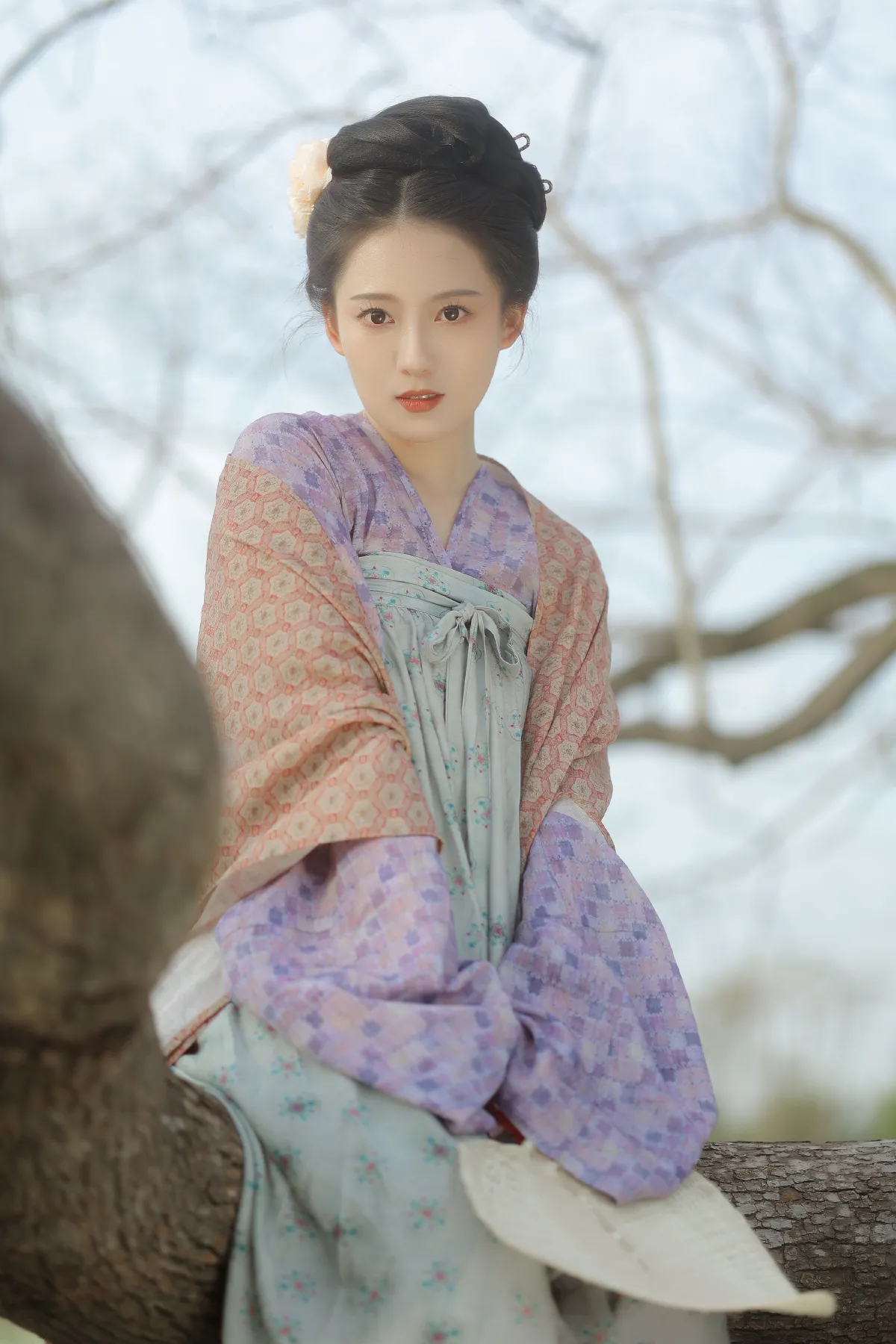 小雏菊