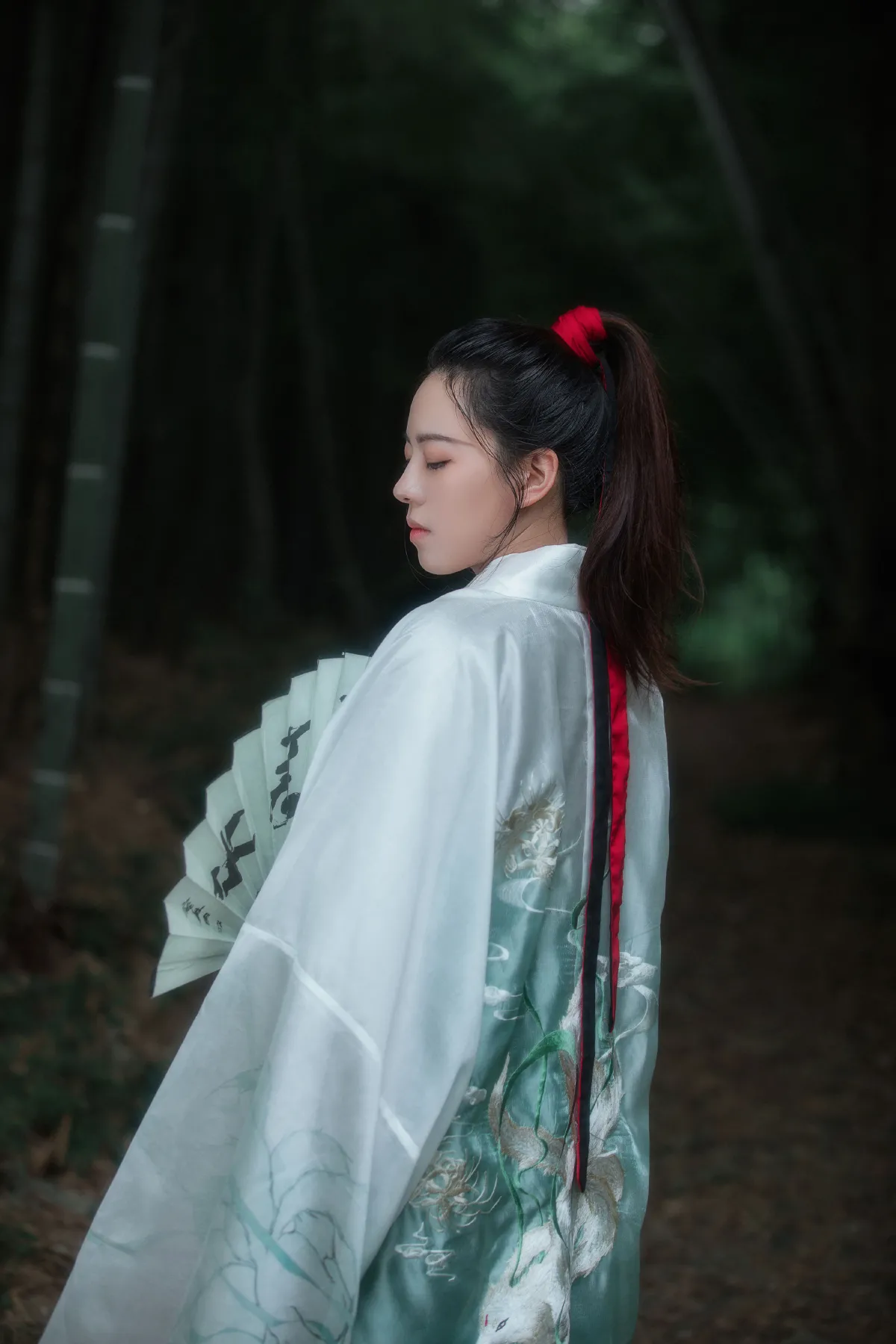 潇湘客2