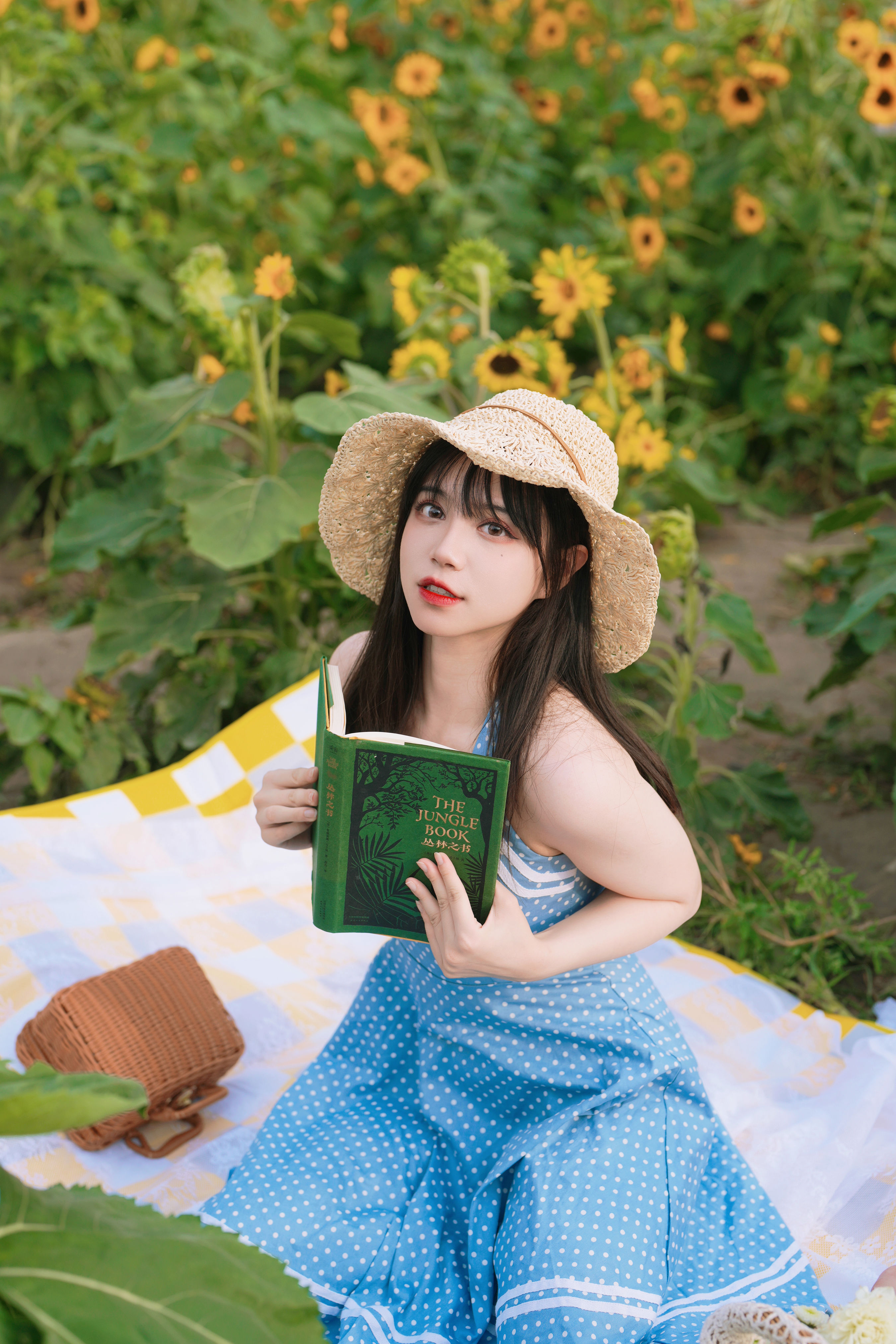 向日葵的约定