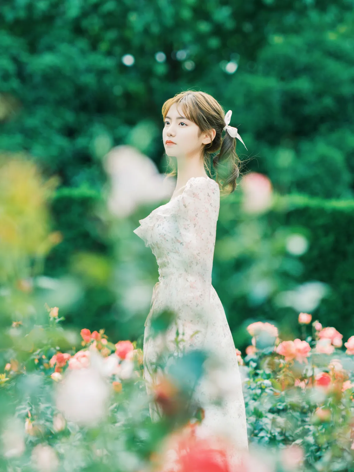 莫奈2