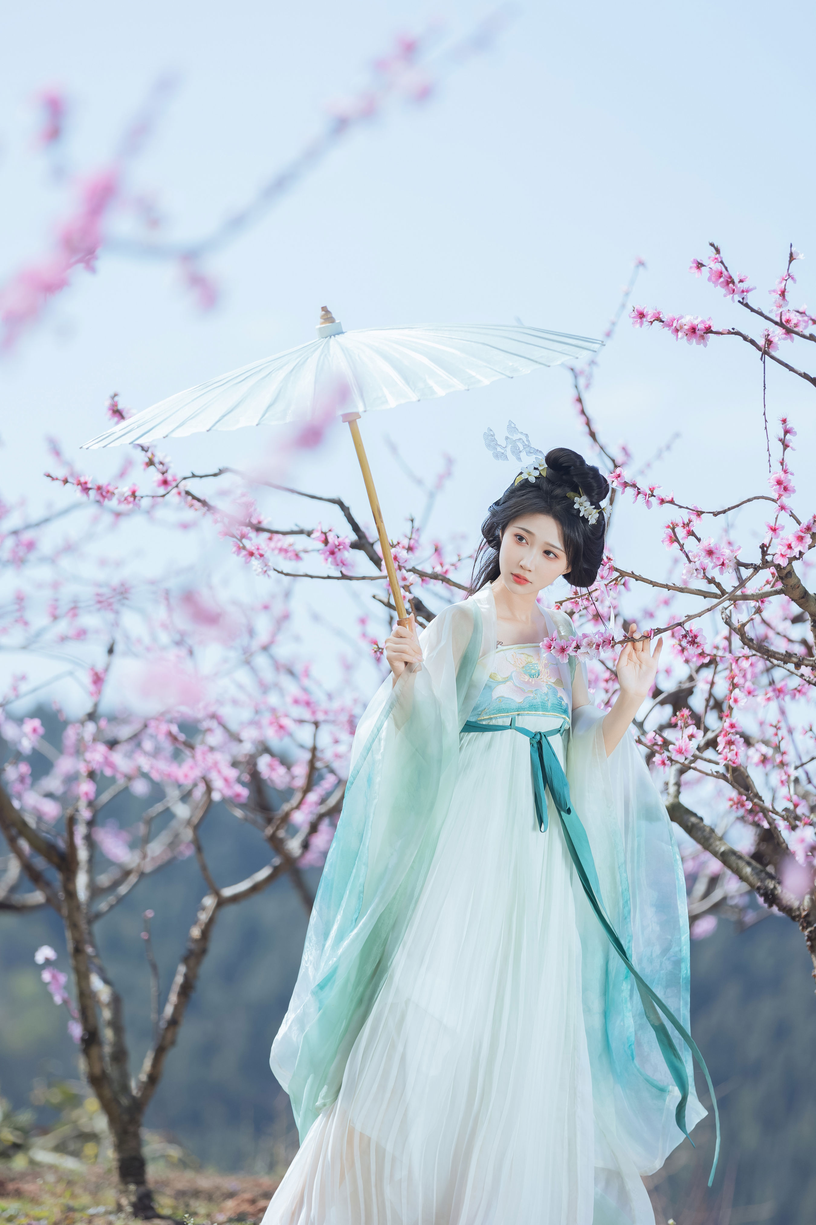 桃花坞