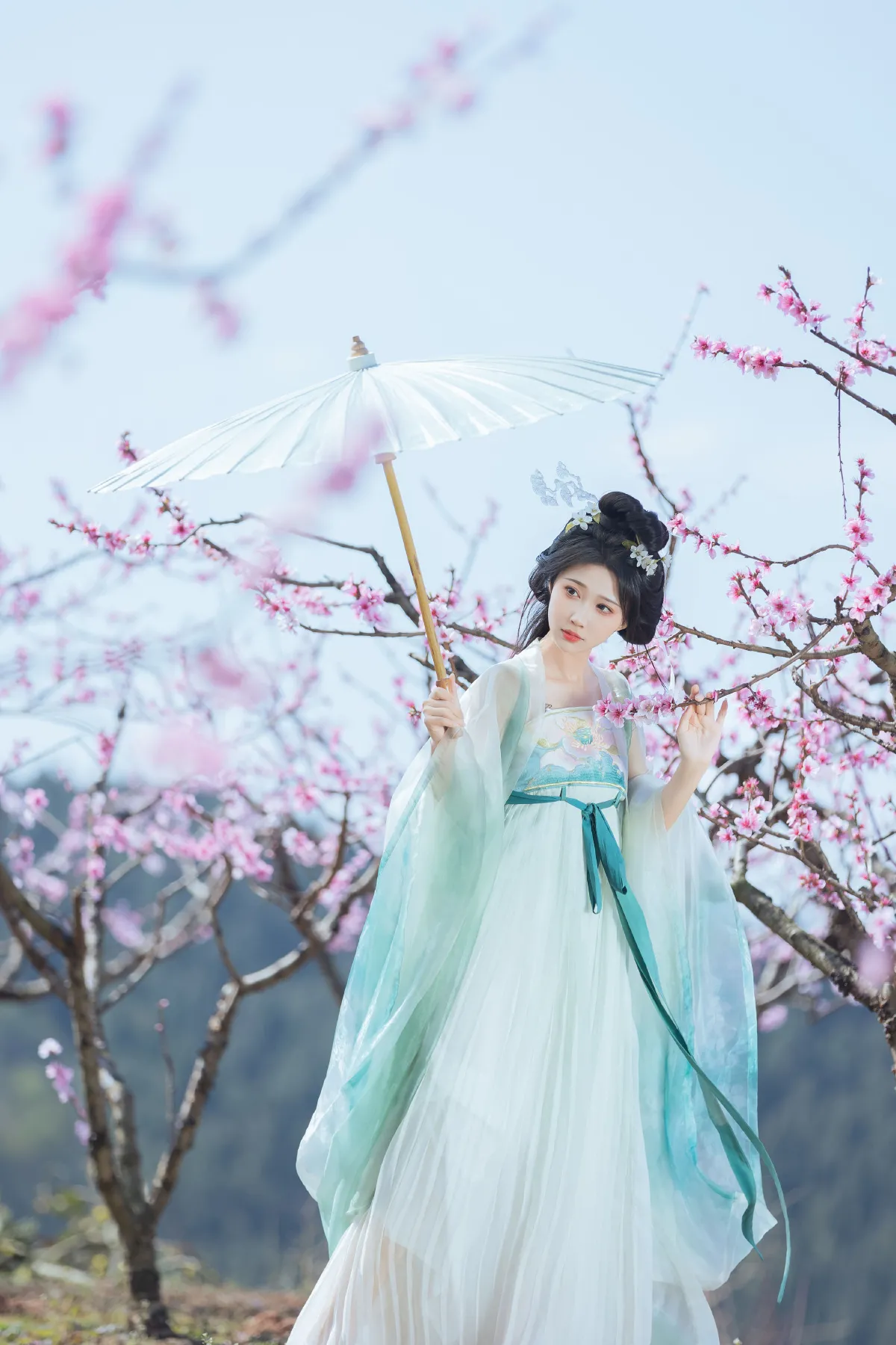 桃花坞1