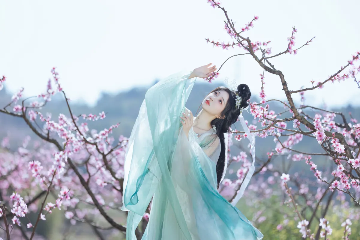 桃花坞2