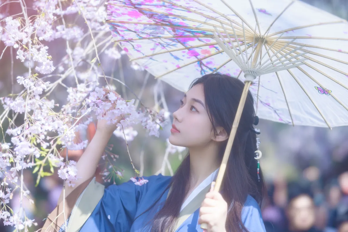 垂樱1