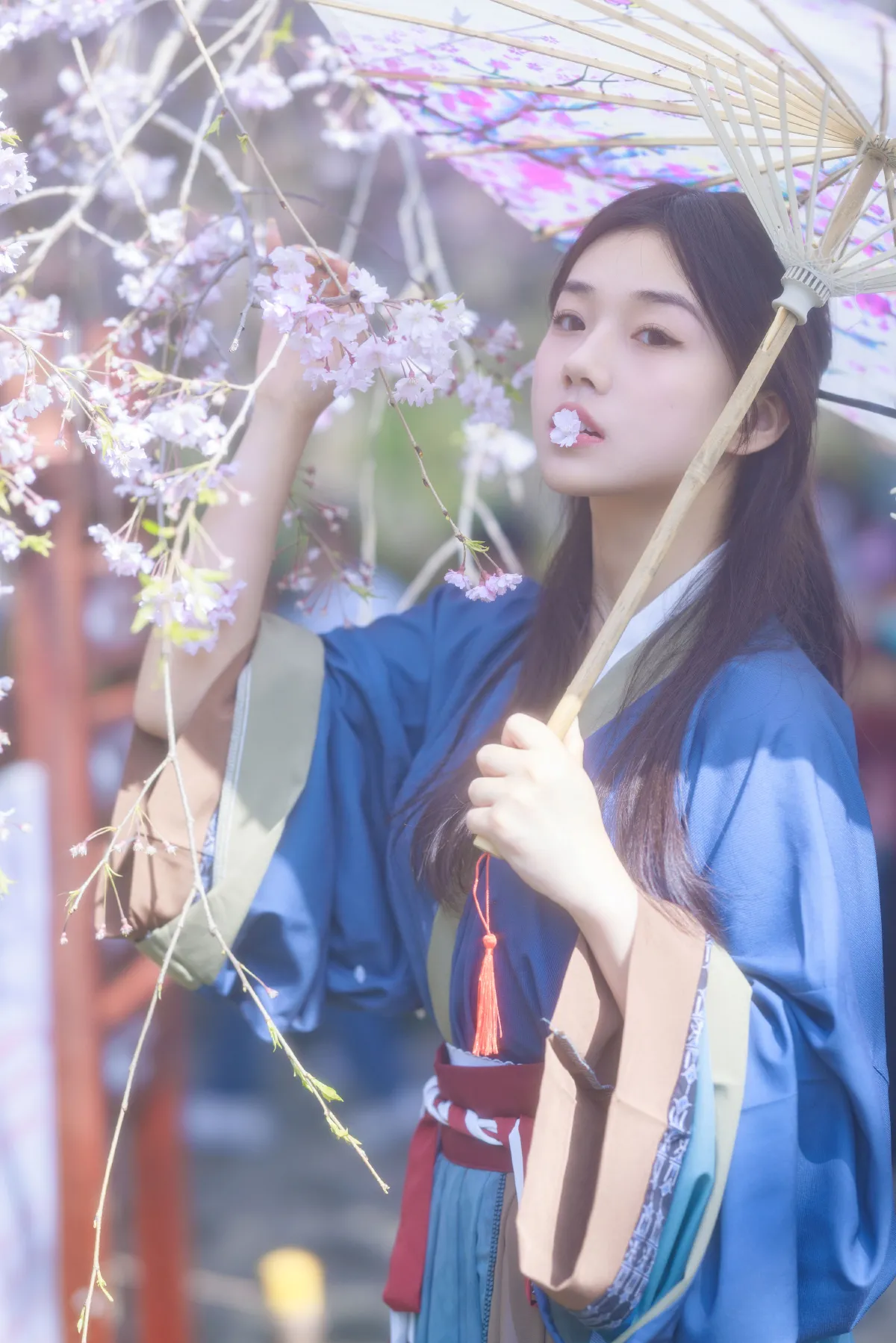 垂樱