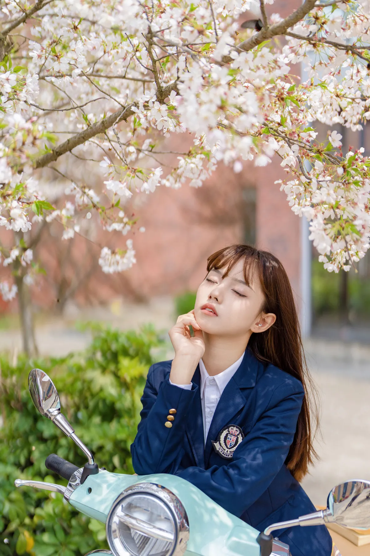 梨花树下2