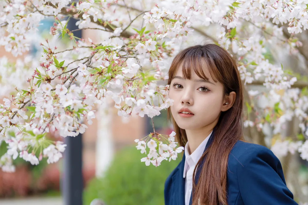 梨花树下5