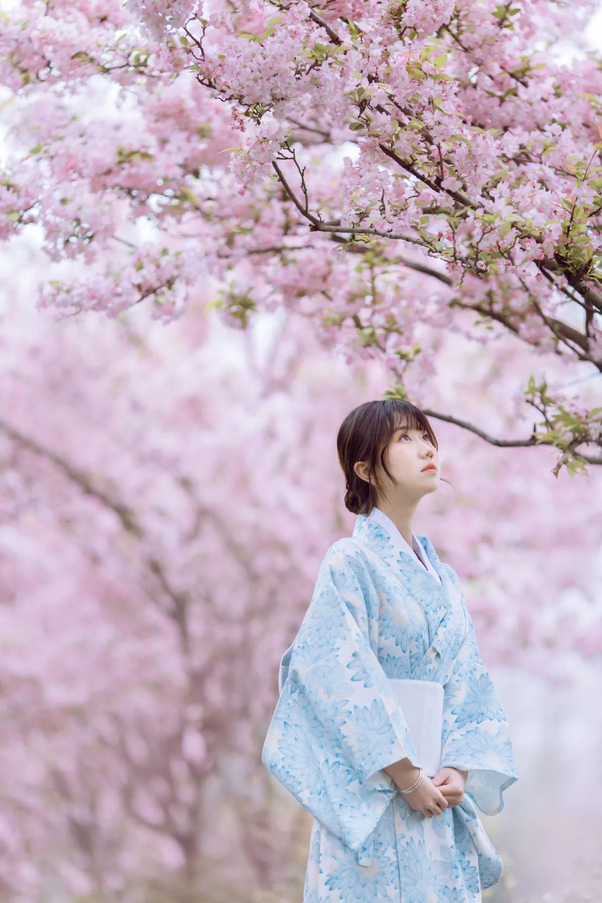 三月季