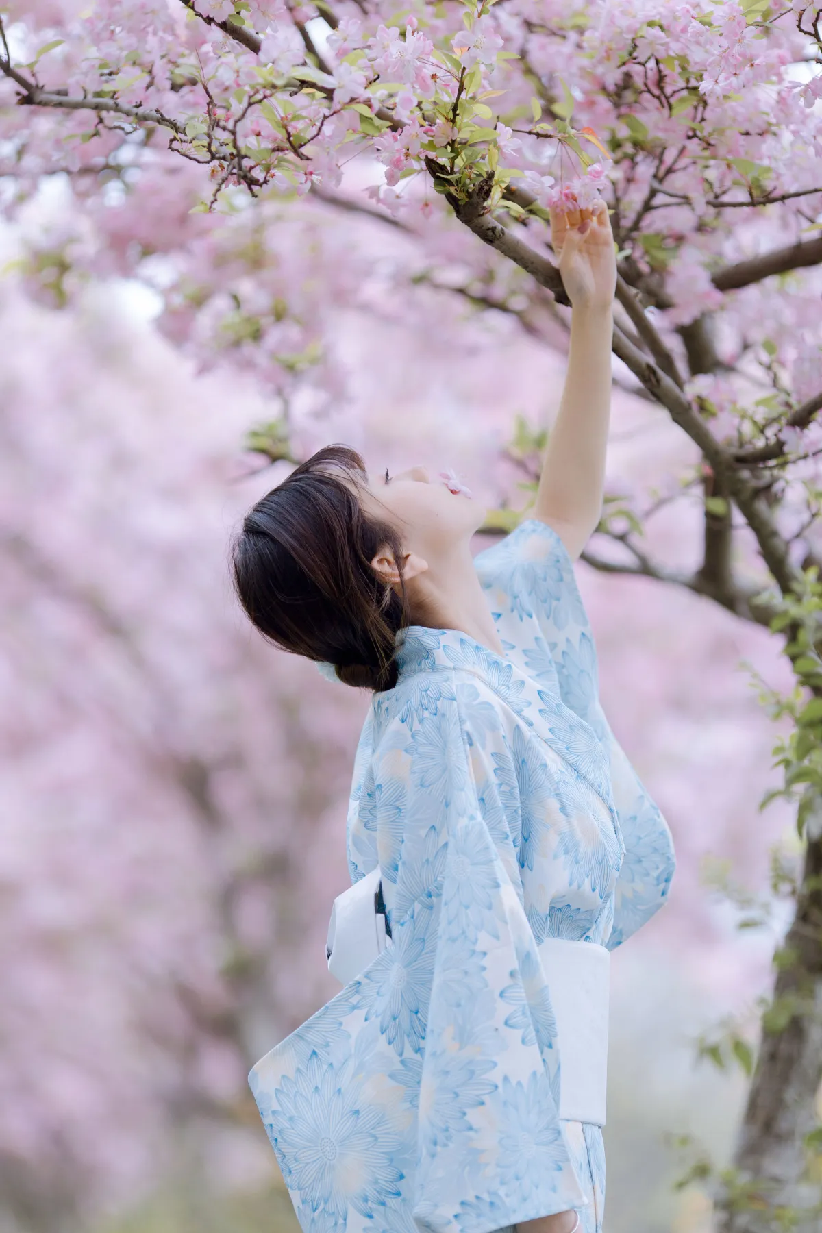 三月季