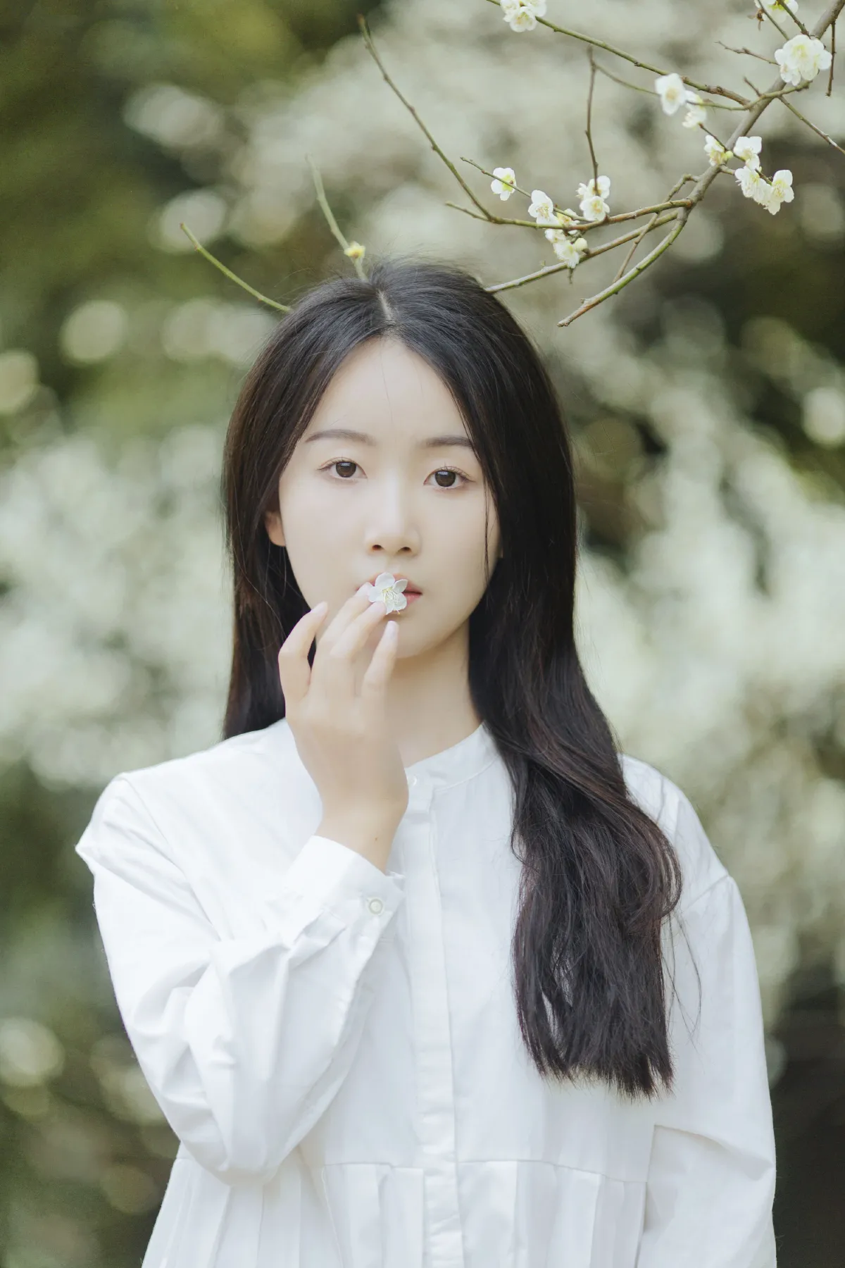 花间1