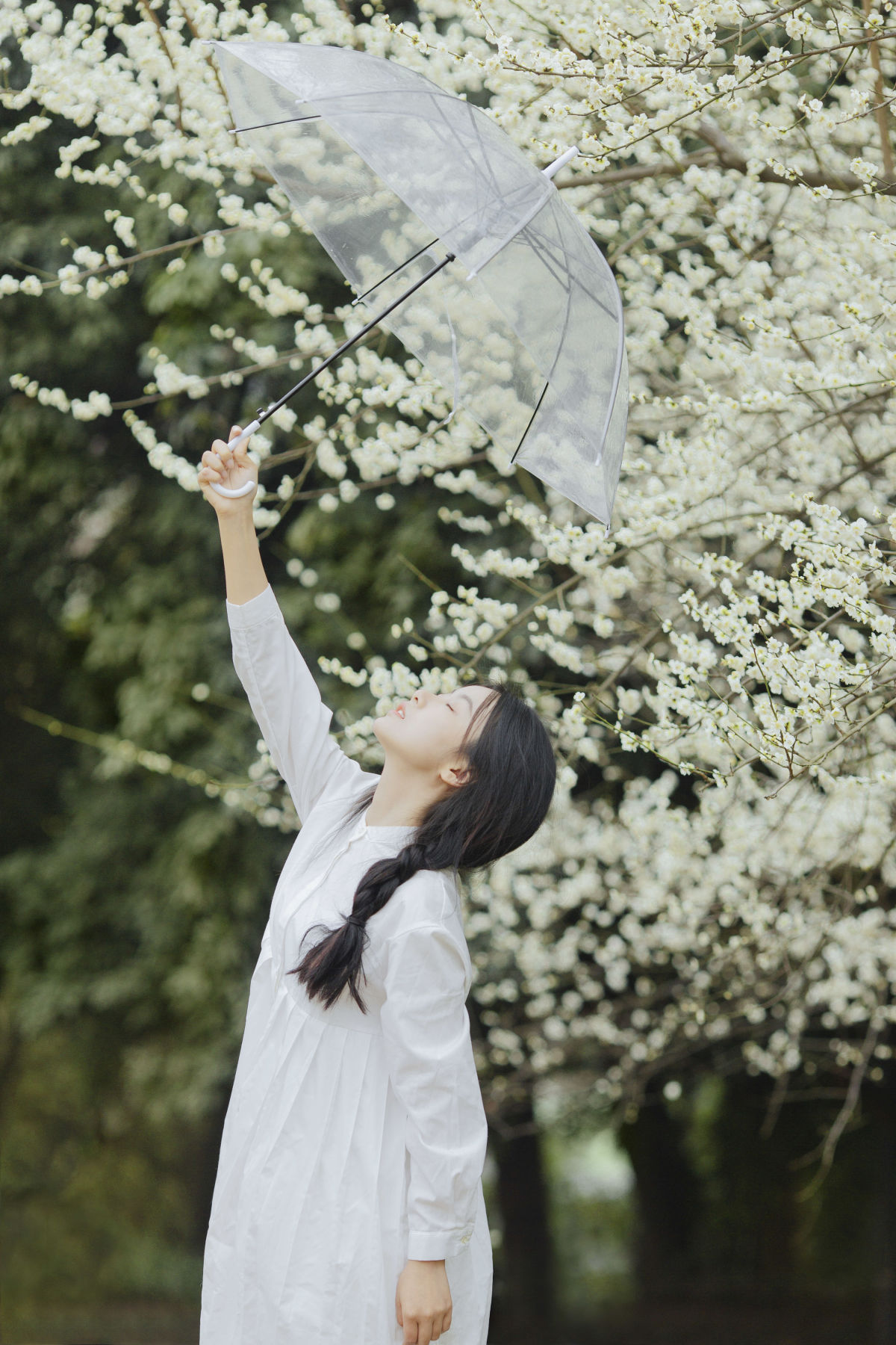 春和陆梨_摘星星给你呀《花间》美图作品图片5