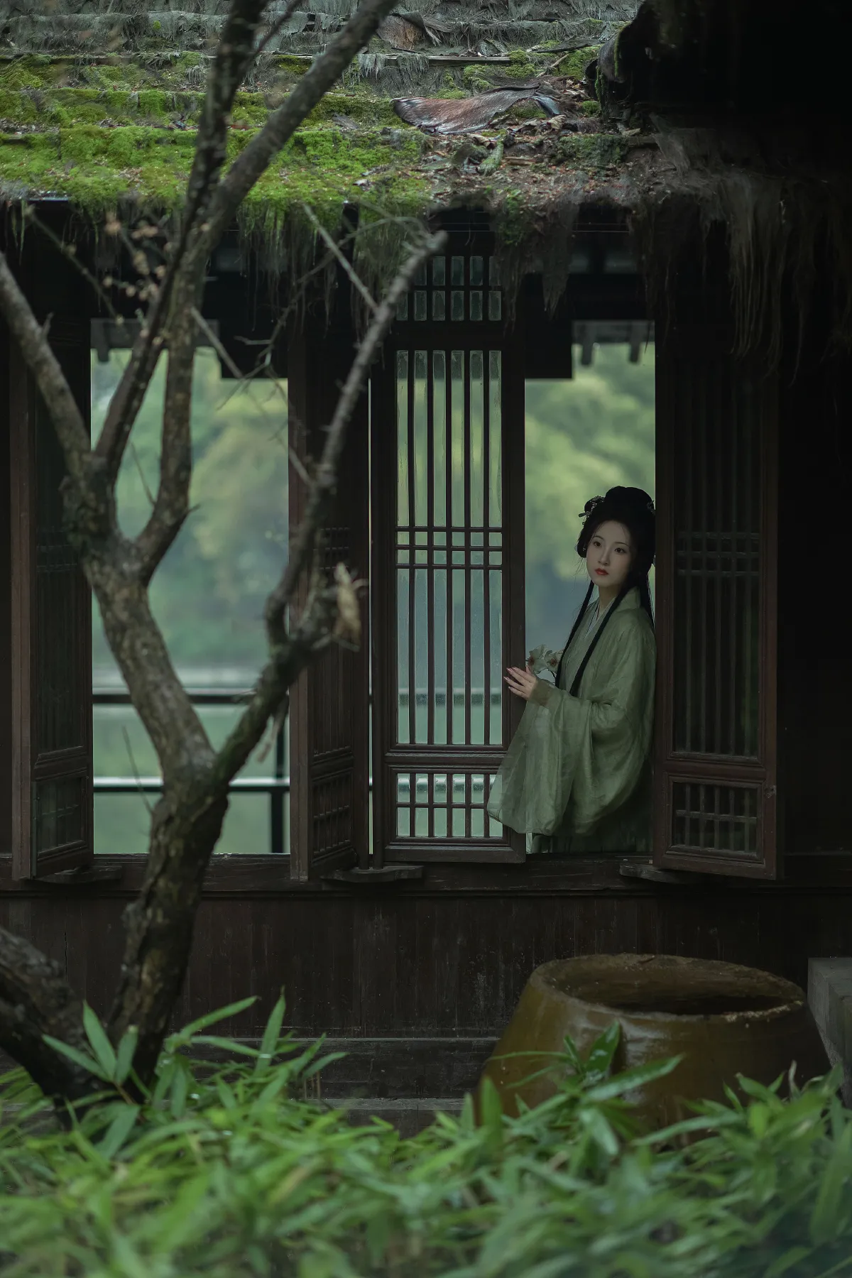 绿意晓声浓