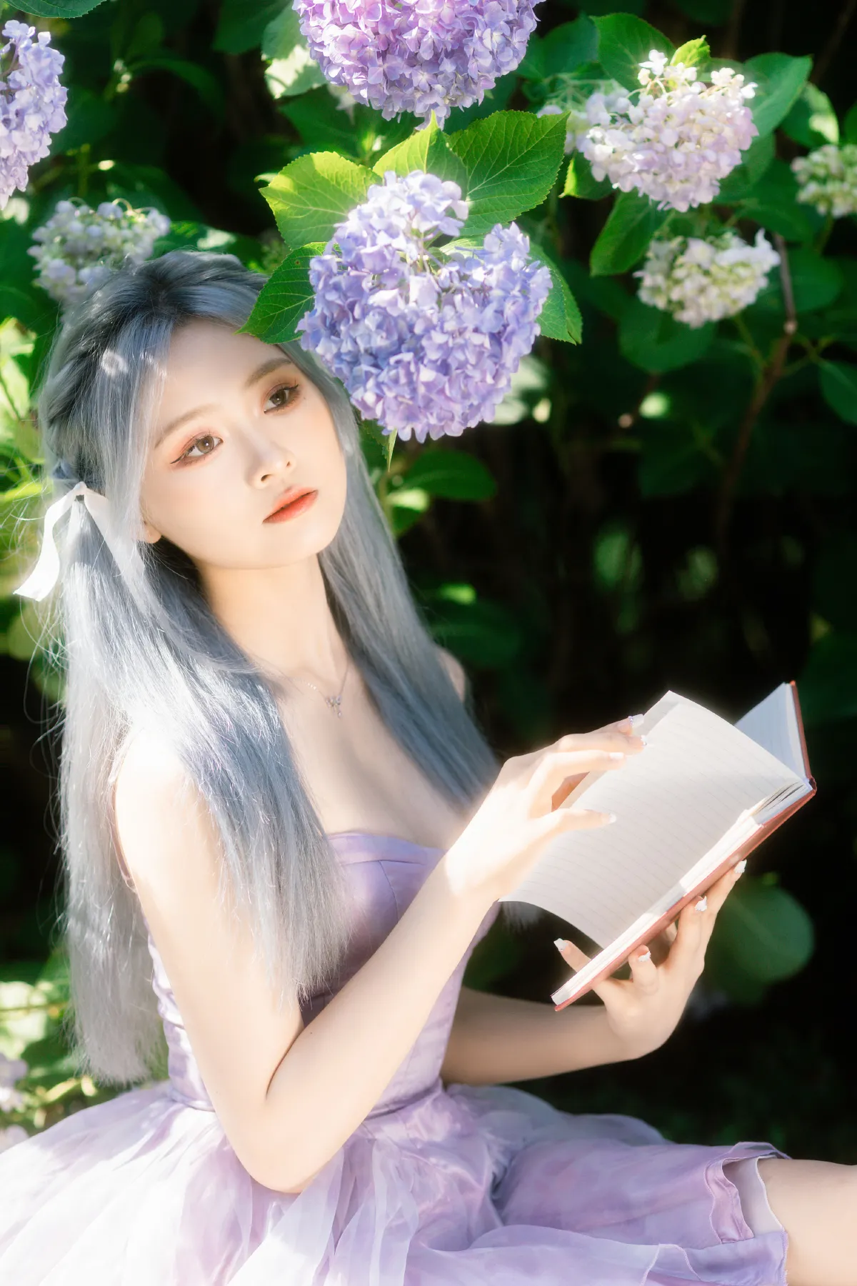 木绣球3