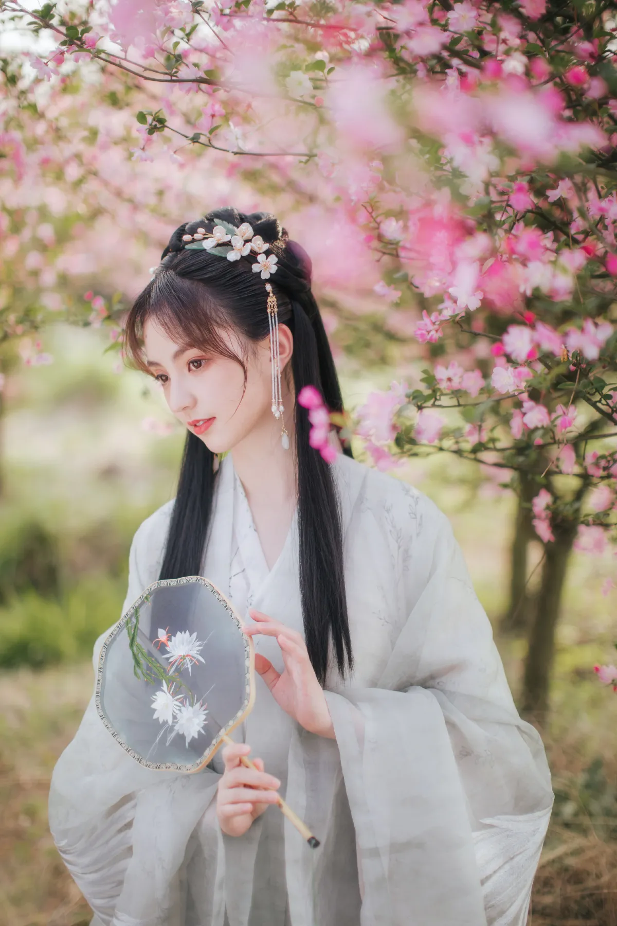 玲珑3