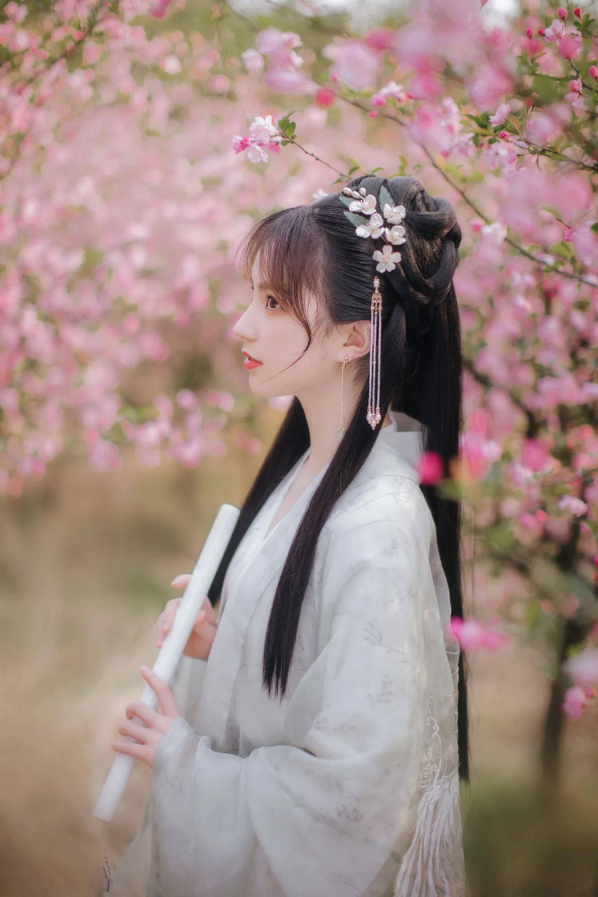 玲珑