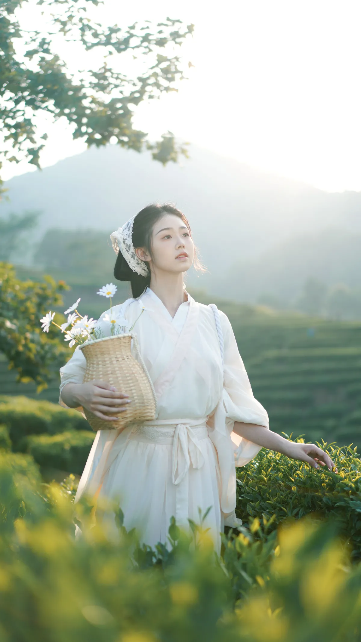 茶山1