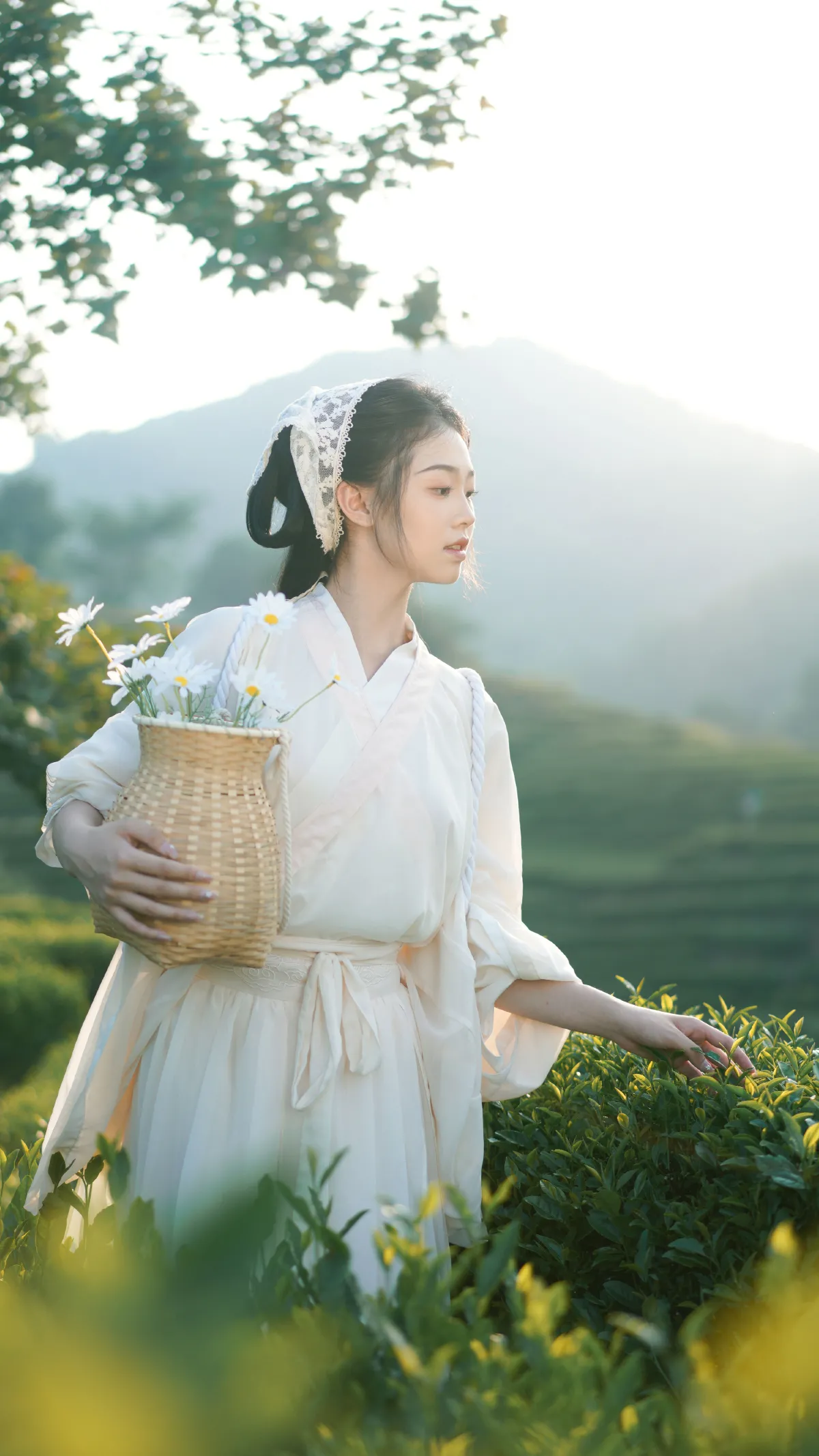 茶山