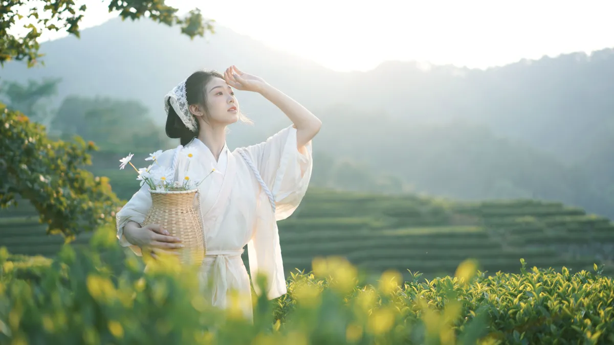 茶山3