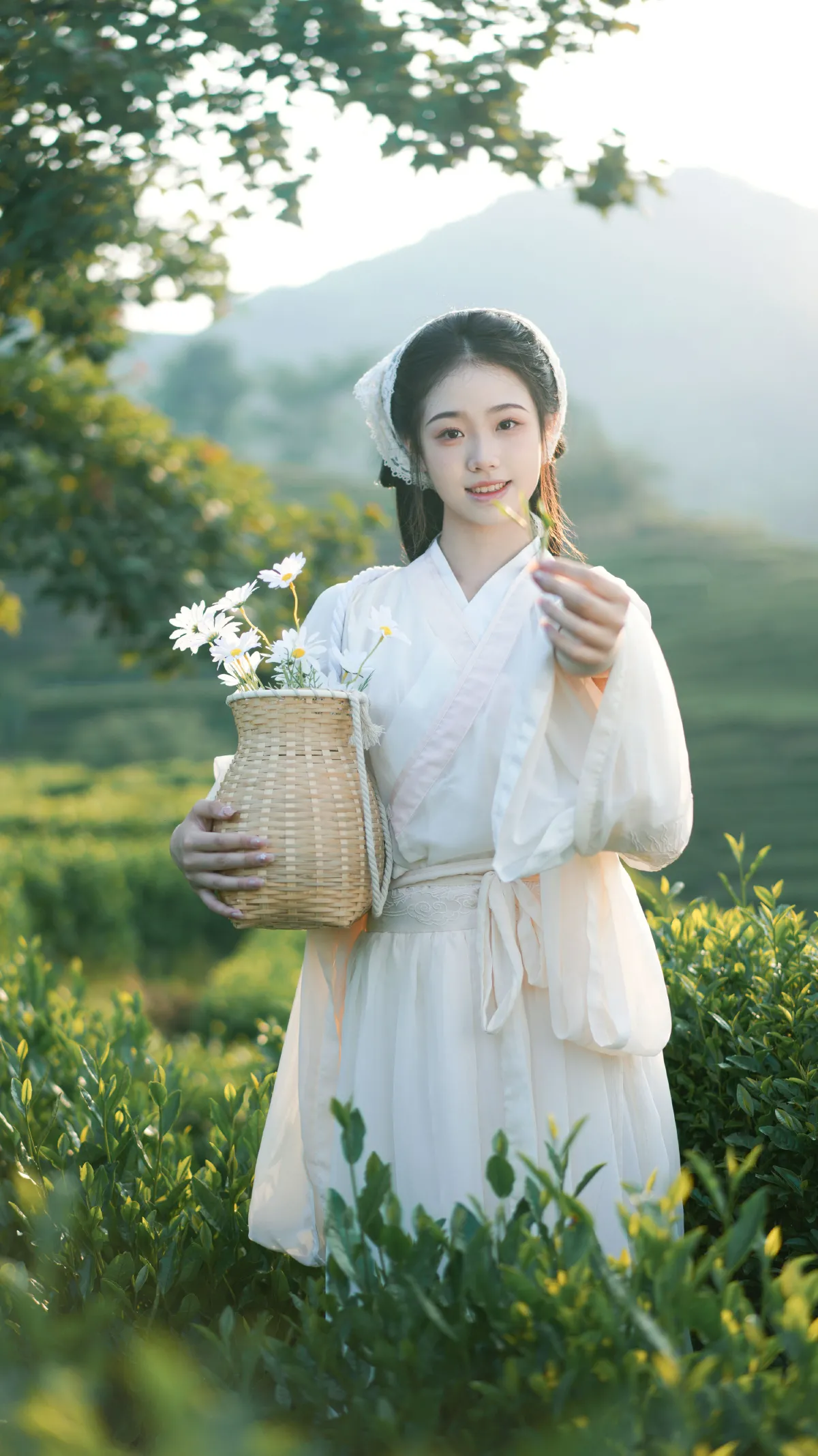 茶山