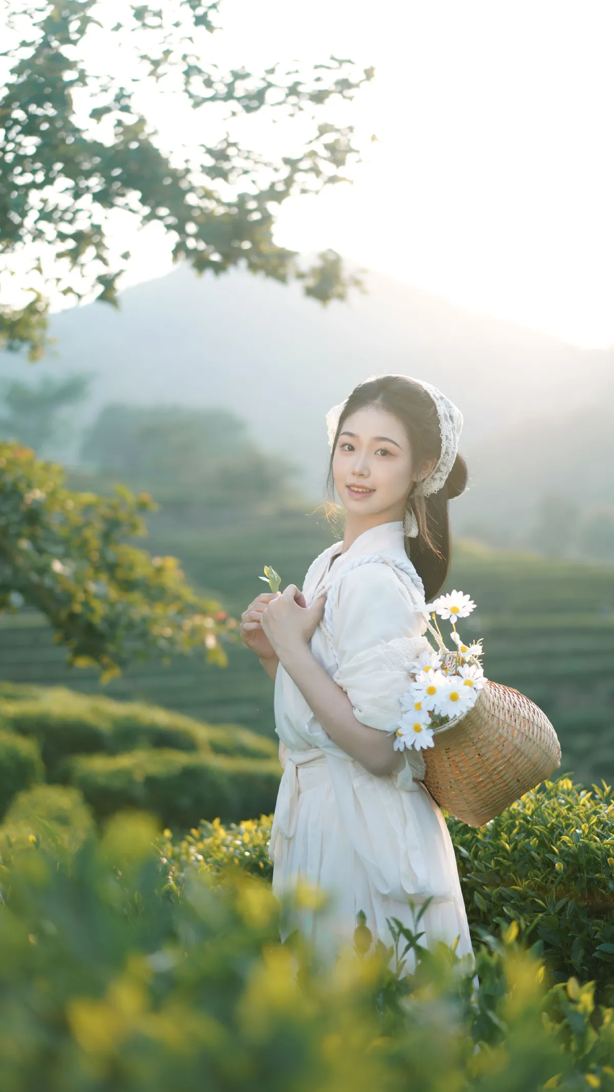 茶山