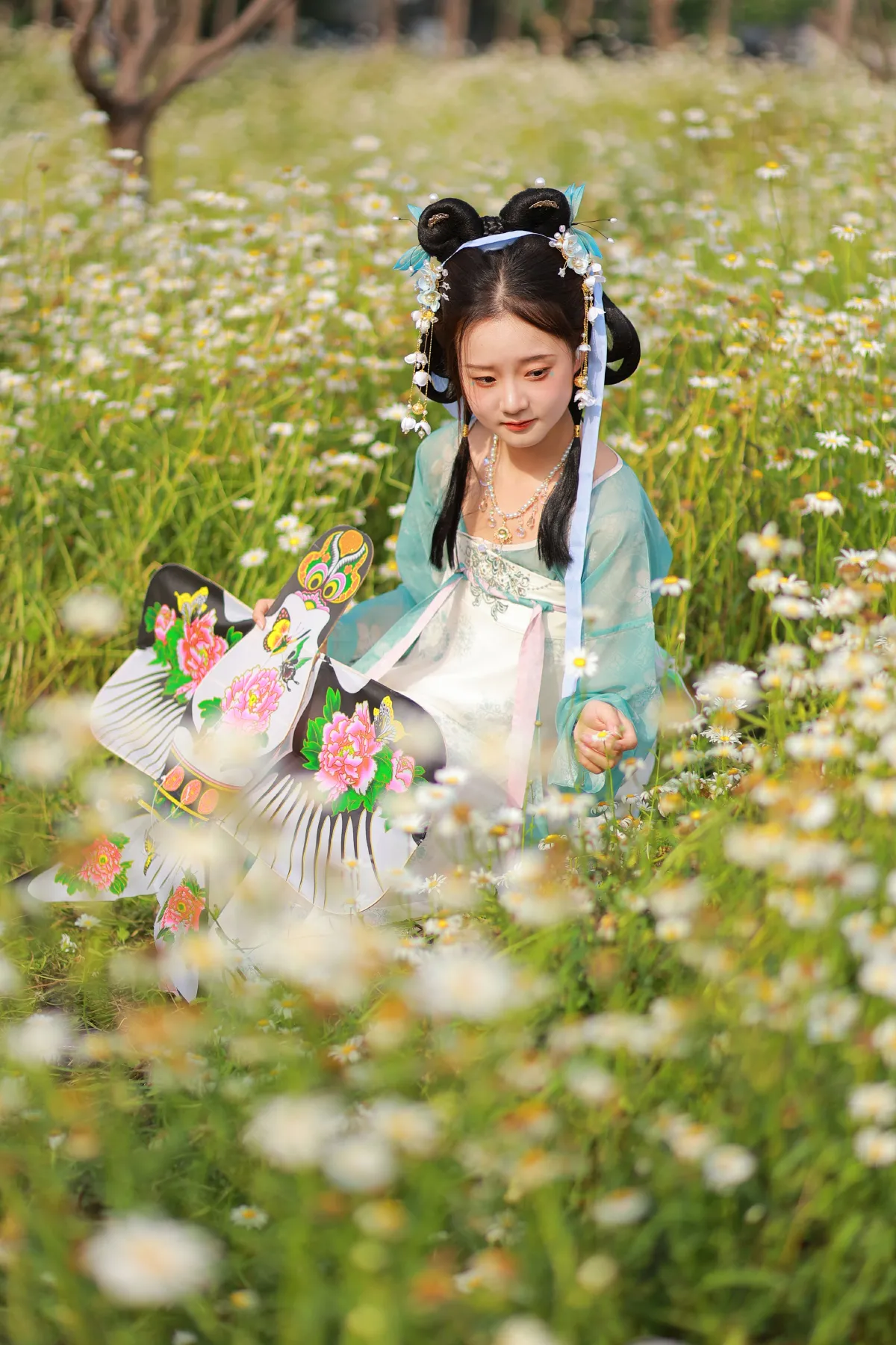 雏菊少女1