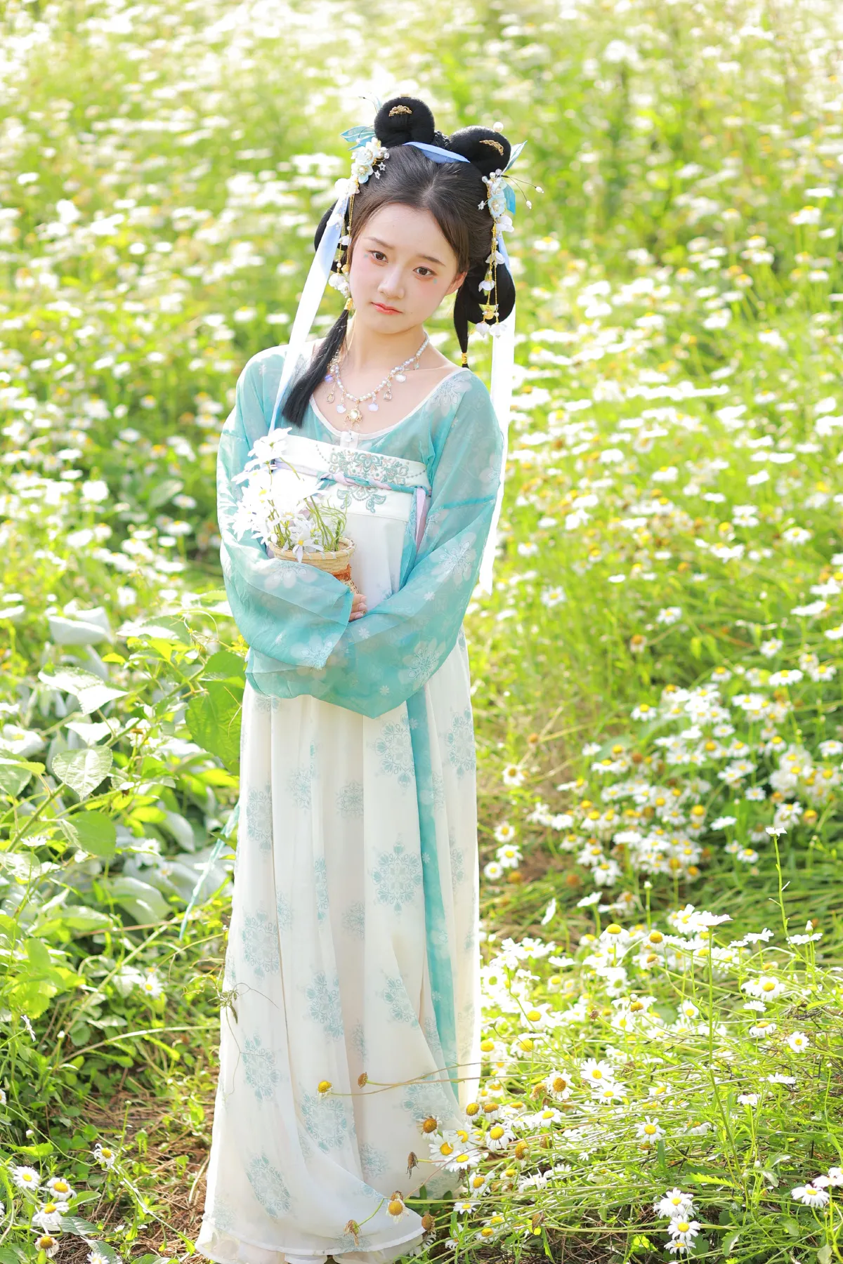 雏菊少女4