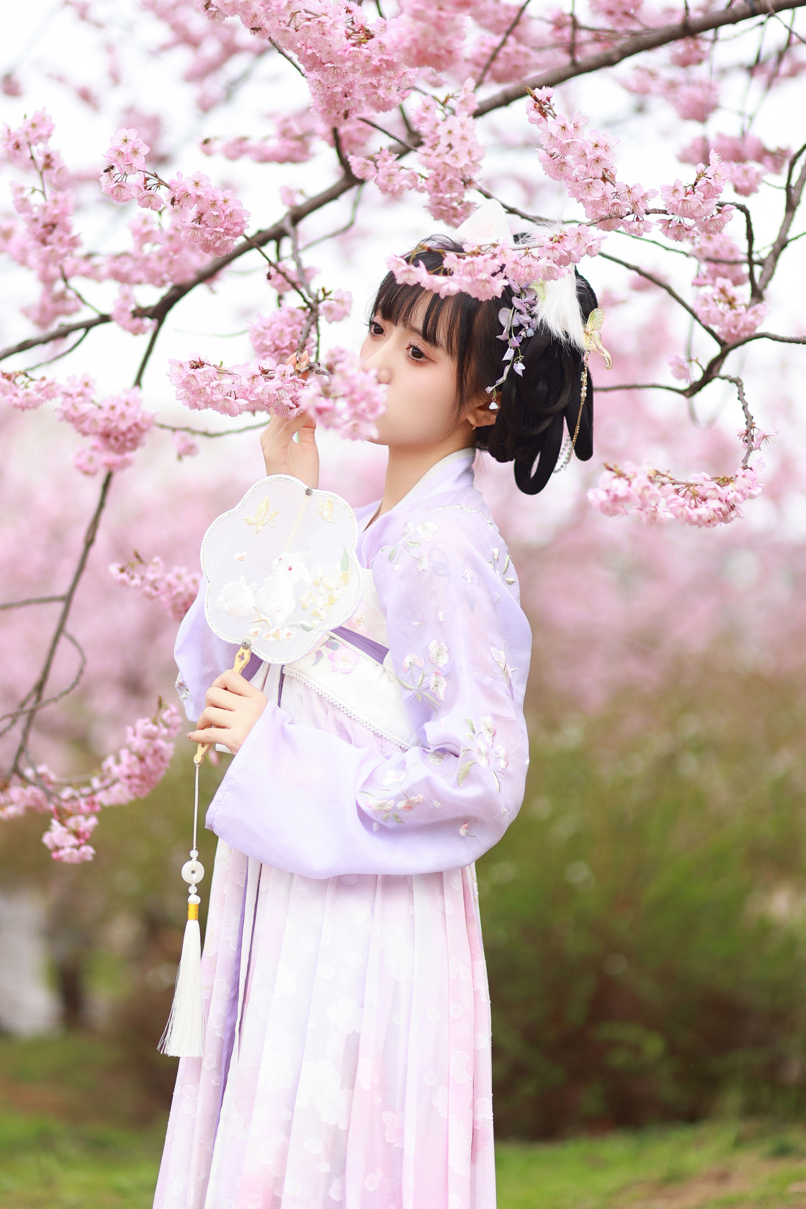 猫耳少女