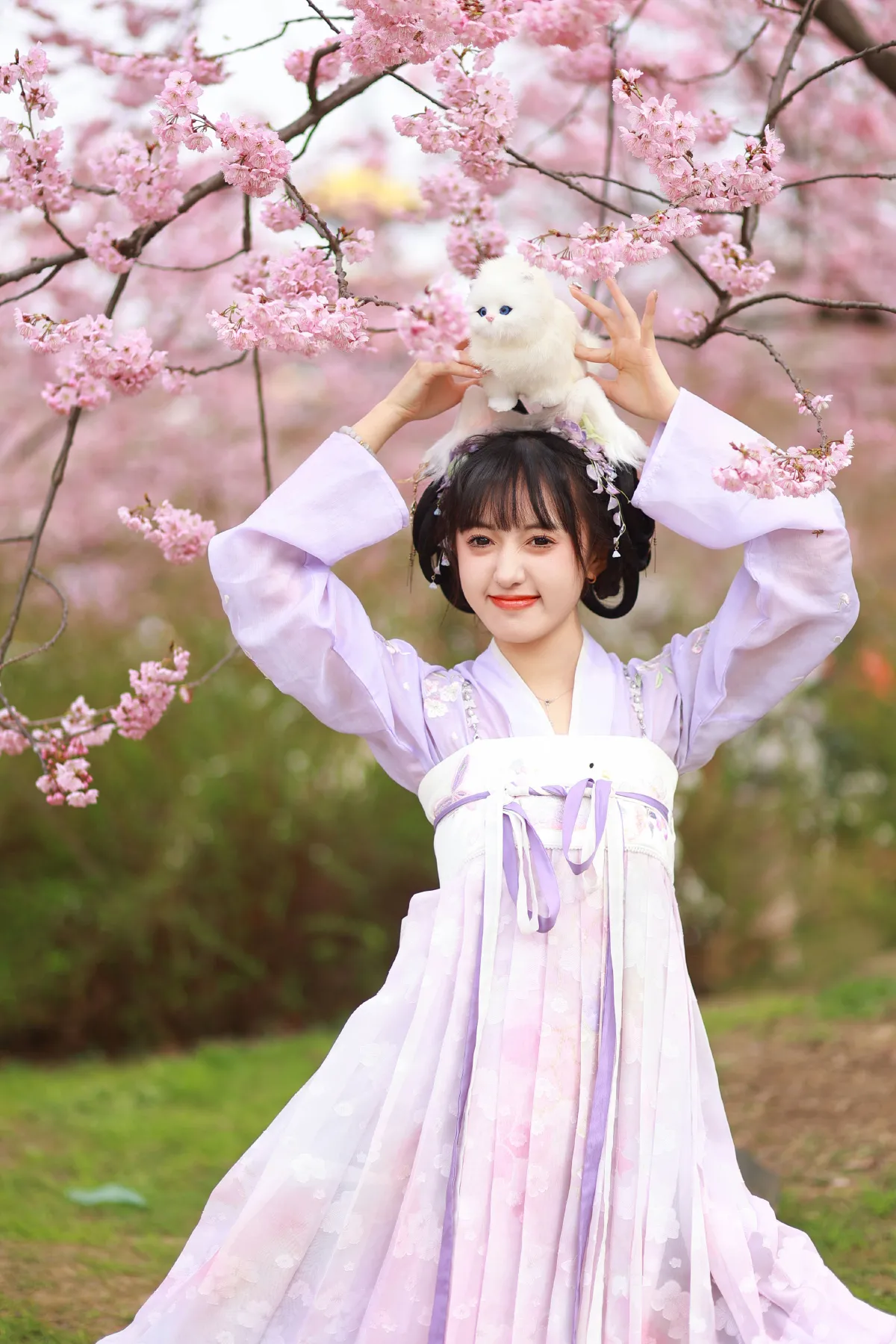 猫耳少女