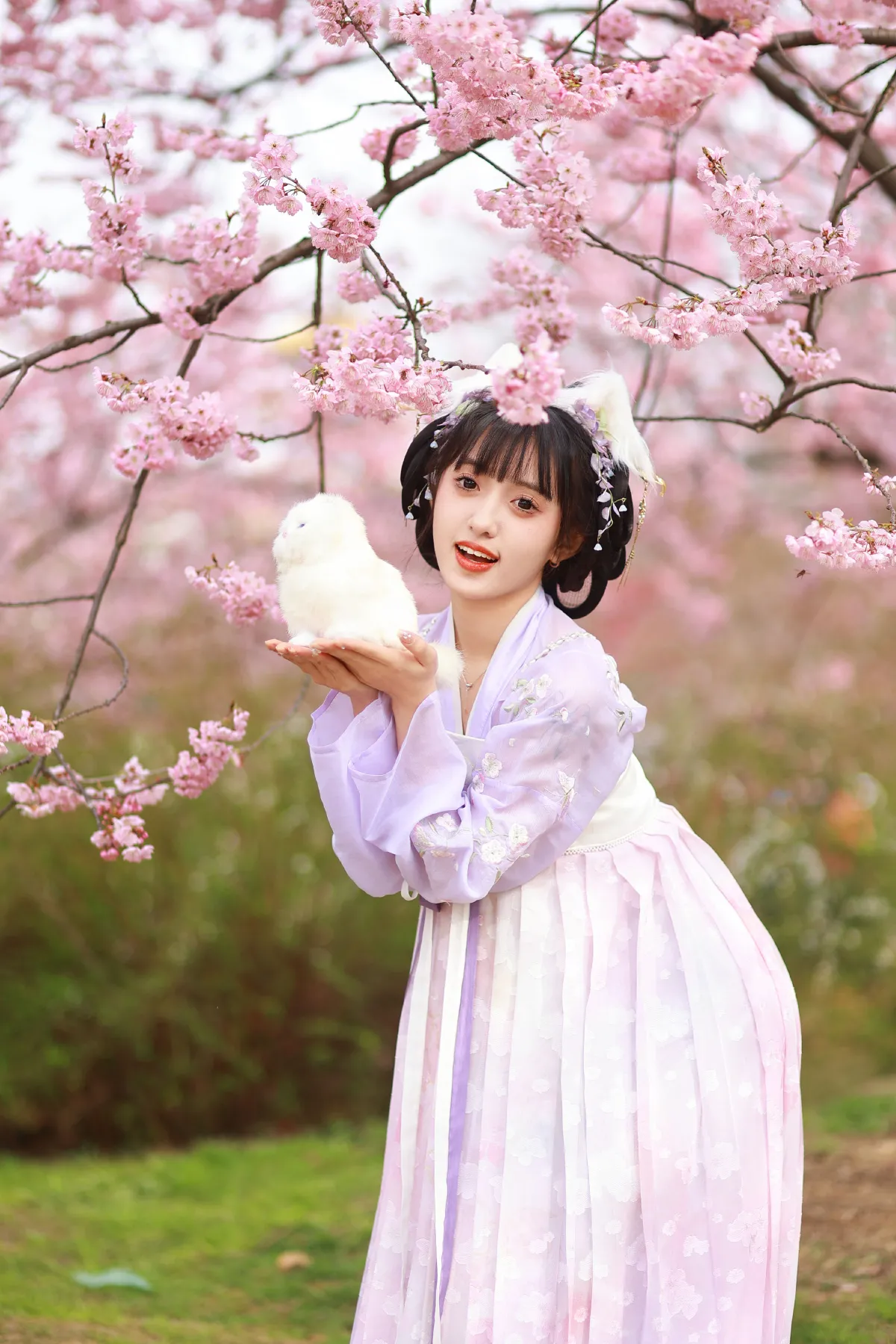 猫耳少女2