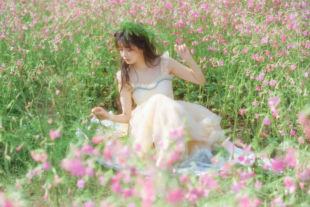 花丛起舞