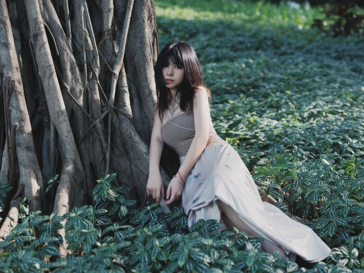 夏之森1