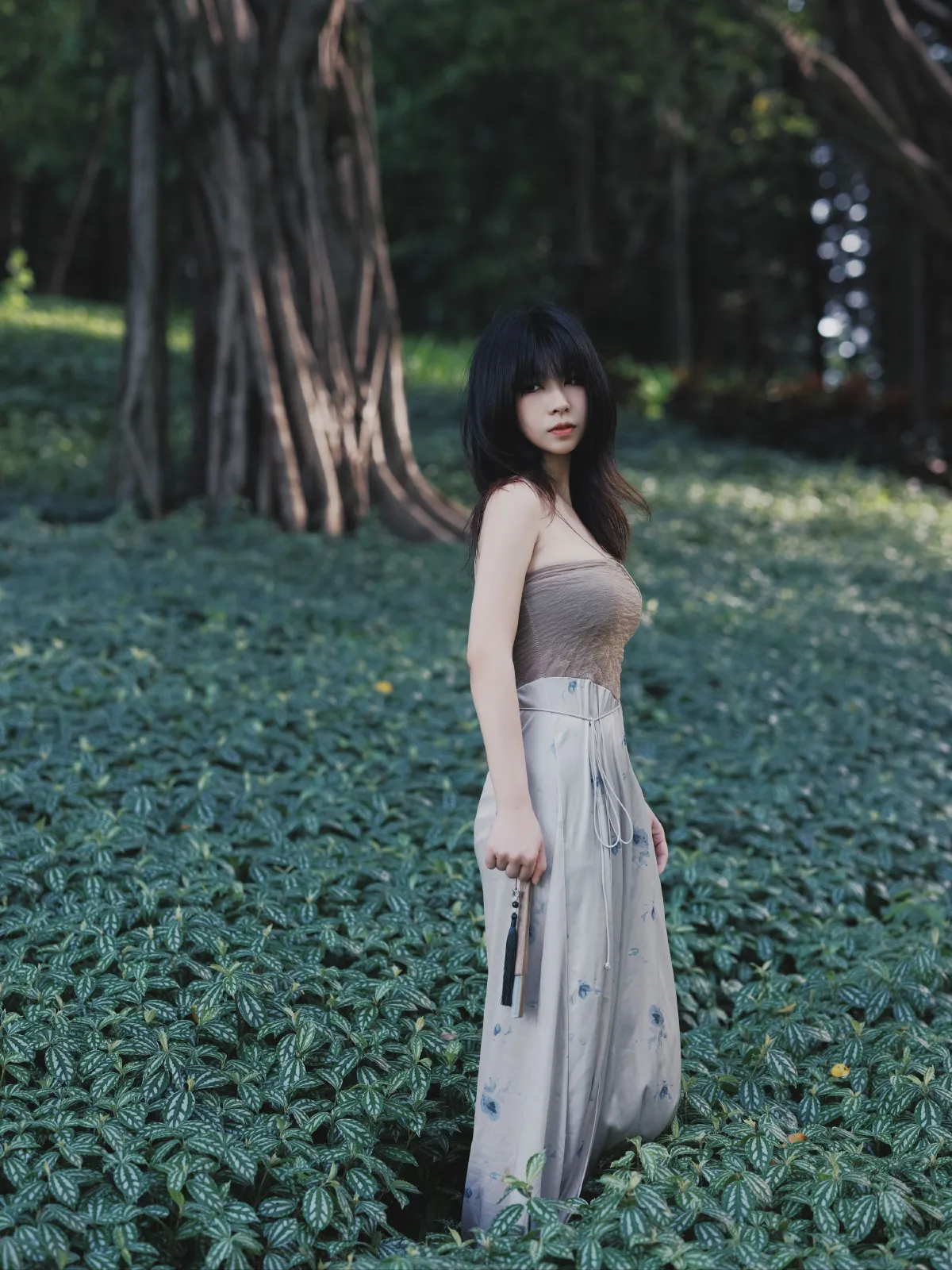 夏之森