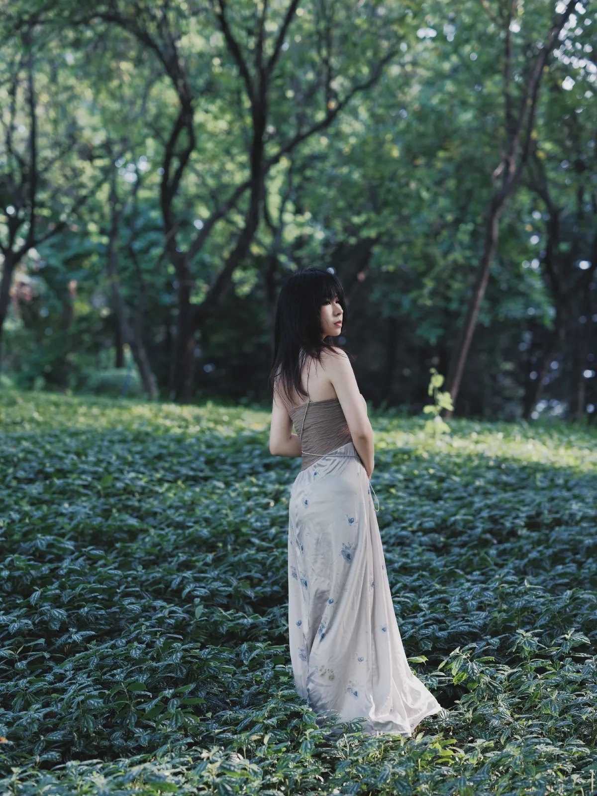 夏之森3
