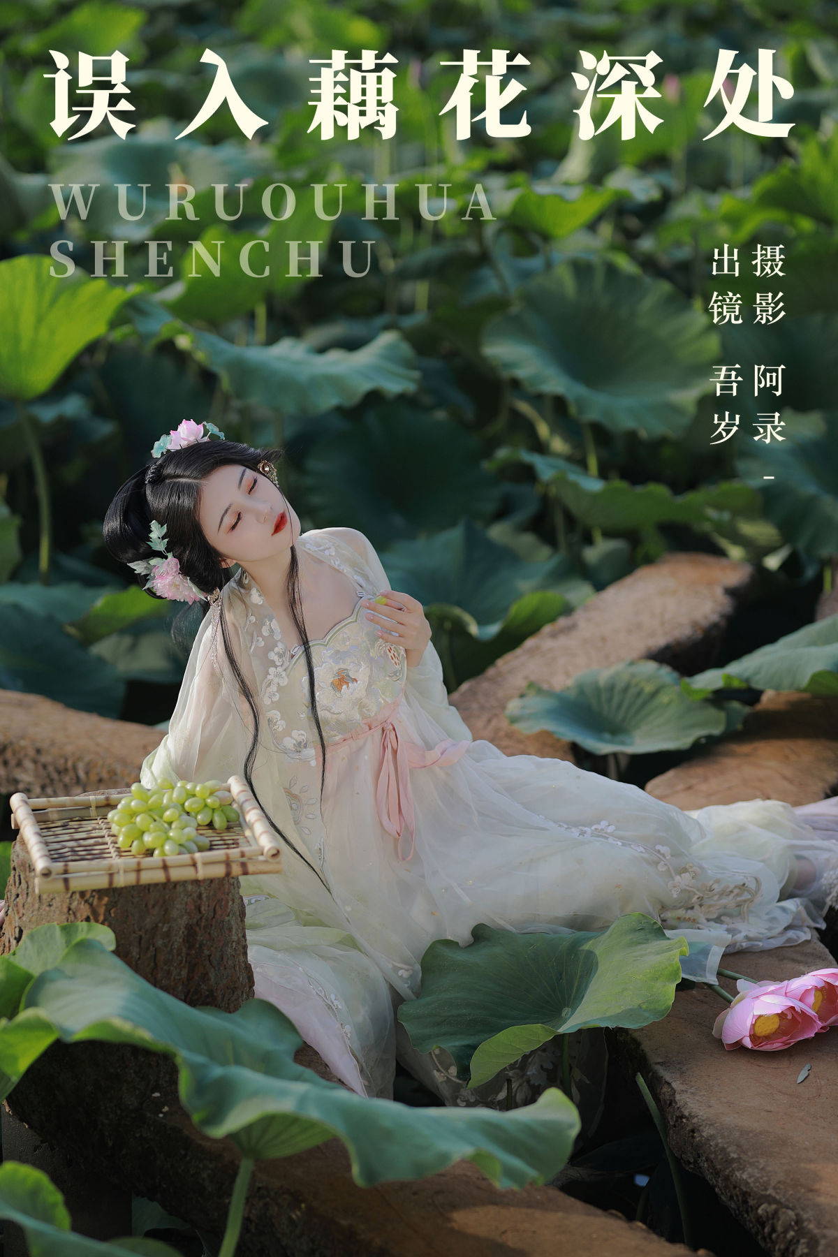 阿录-_吾岁岁《误入藕花深处》美图作品图片1