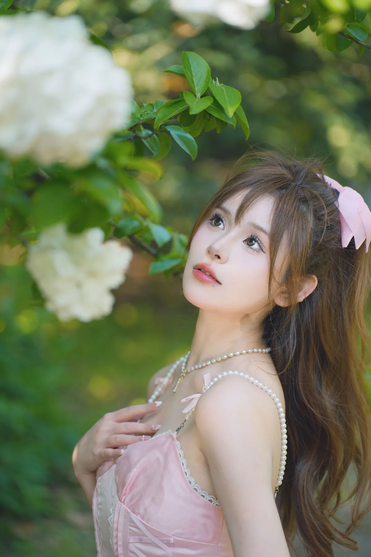 木绣球之春